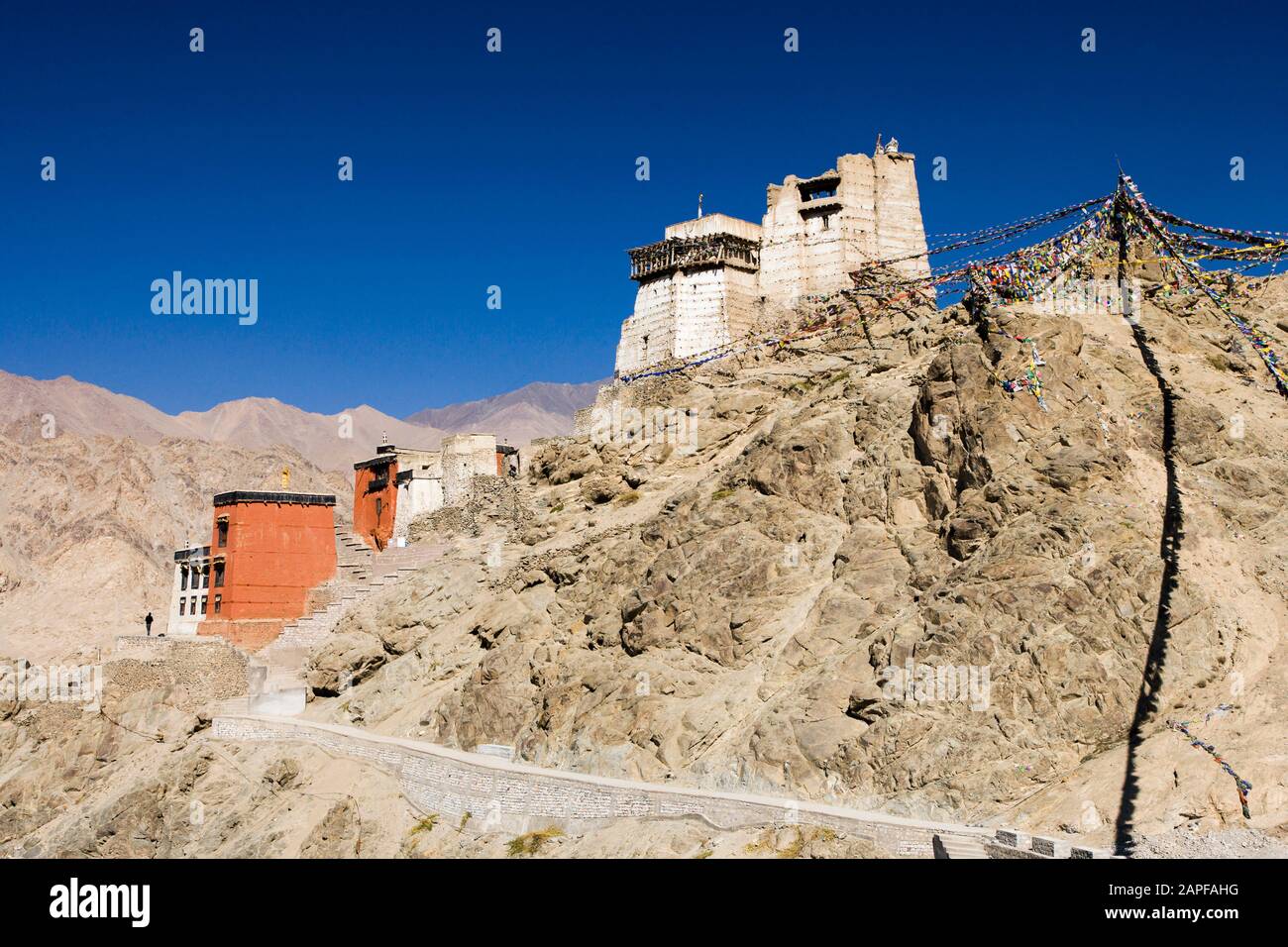 Temple Tsemo Maitreya, Également Namgyal Tsemo Gompa, Ou Monastère Namgyal Tsemo, Leh, Ladakh, Inde, Asie Du Sud, Asie Banque D'Images