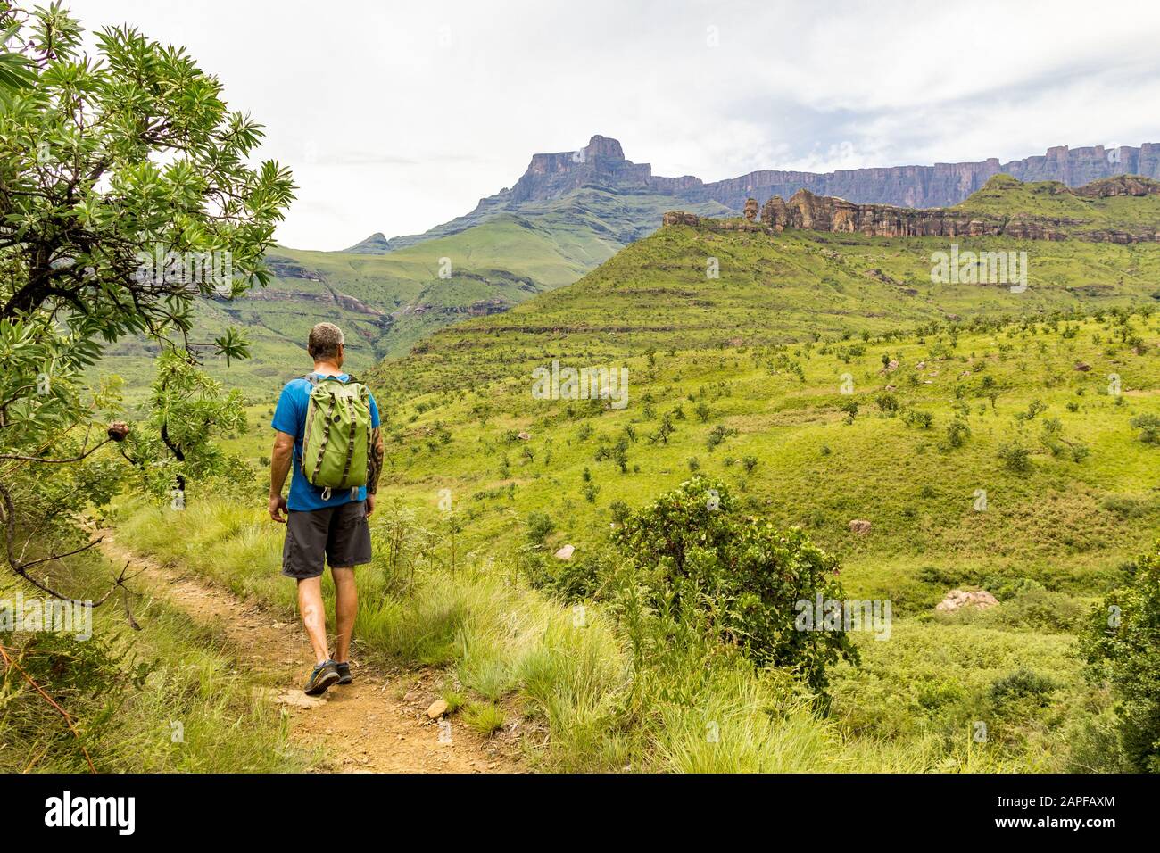 Un homme de randonnée qui bénéficie de la vue sur l'amphithéâtre et sur la formation de roches Helmet de Polideman, les montagnes de Drakensberg, le parc national Royal Natal, Sou Banque D'Images