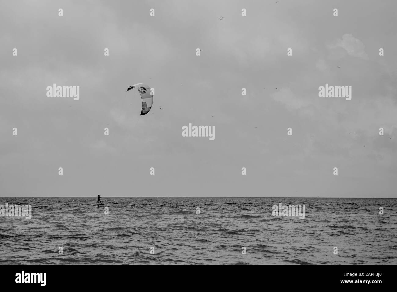 Naples floride Banque D'Images