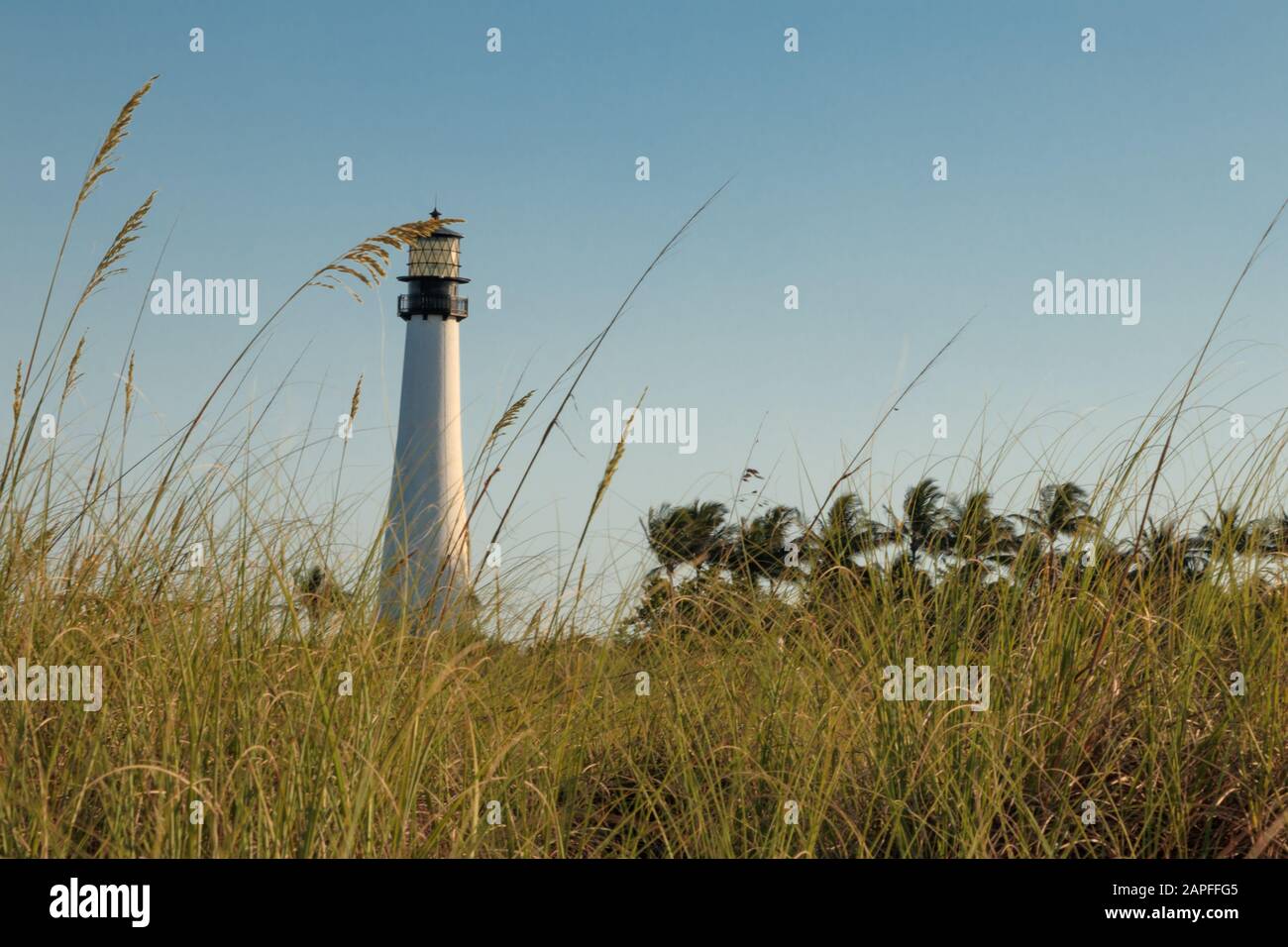 Plage de Floride Banque D'Images