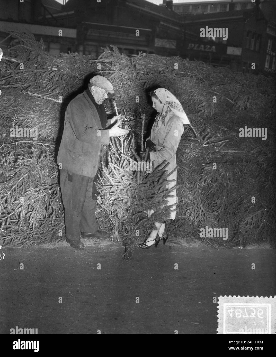 Début Noël Treesmarkt Singel Amsterdam Date: 5 Décembre 1951 Lieu: Amsterdam, Noord-Holland Mots Clés: Kerstbomenmarkt Banque D'Images