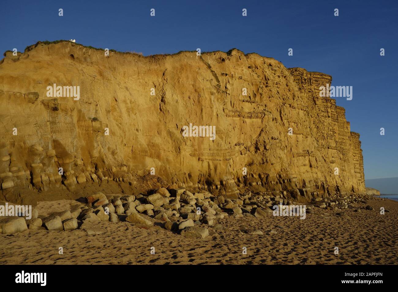 Plage de l'ouest de la baie de l'ouest de la falaise de grès jaune lumière du soir au sud de la côte jurassique du Dorset england uk go Banque D'Images