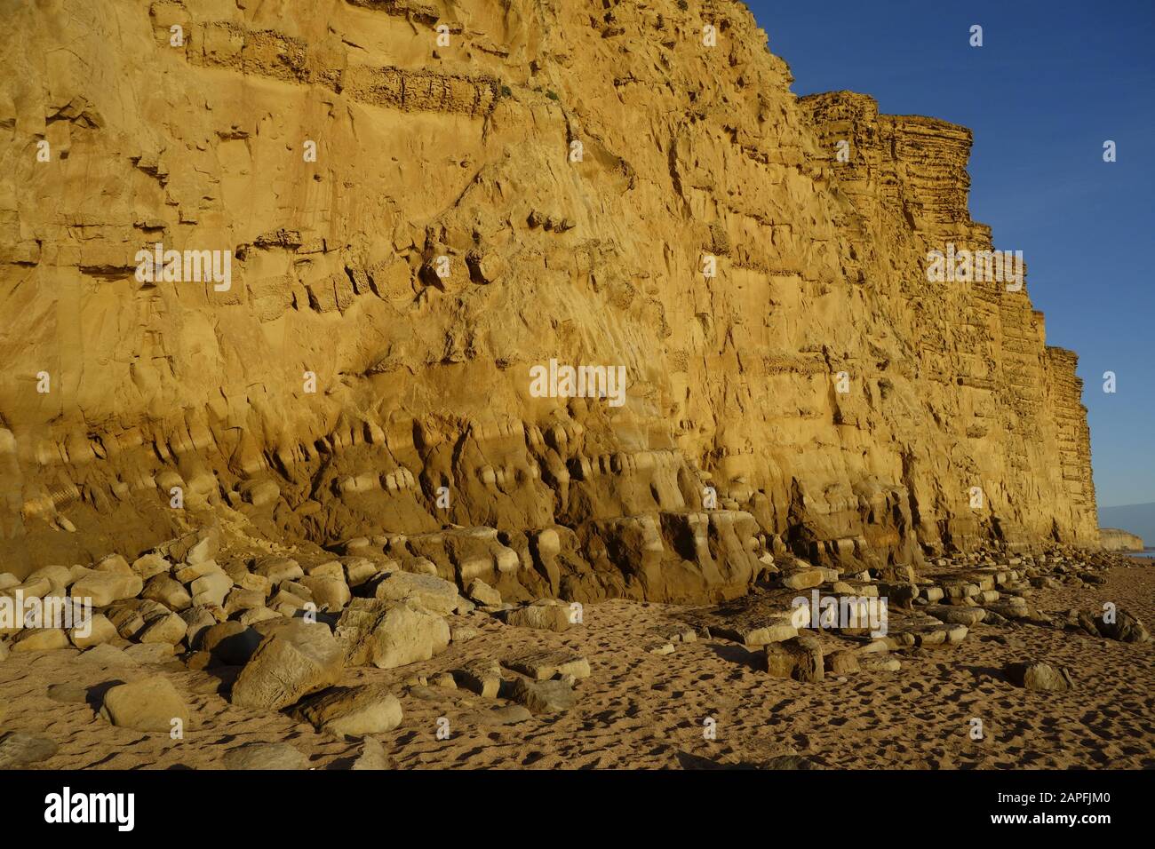 Plage de l'ouest de la baie de l'ouest de la falaise de grès jaune lumière du soir au sud de la côte jurassique du Dorset england uk go Banque D'Images