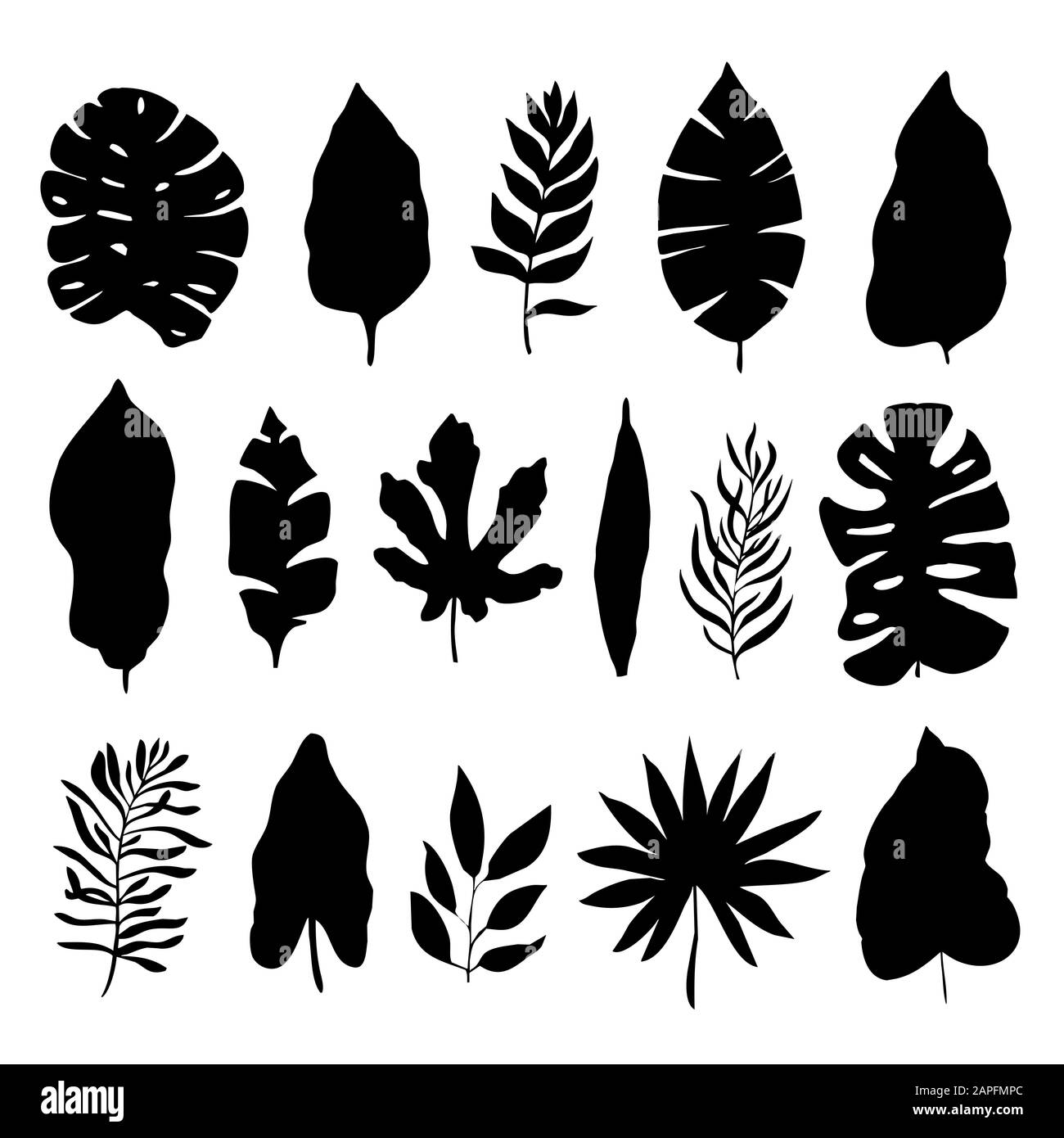Silhouettes de feuilles tropicales isolées sur fond blanc. Illustration vectorielle Illustration de Vecteur
