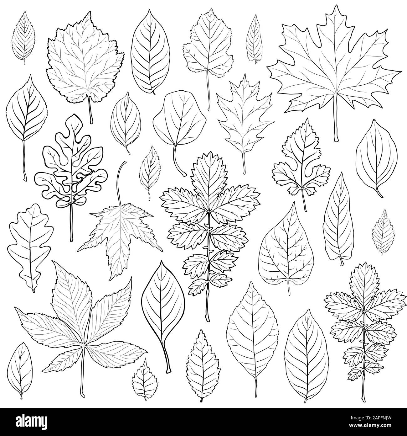 Laisse le vecteur de l'ensemble de silhouettes. Page de livre de coloriage pour adulte Illustration de Vecteur