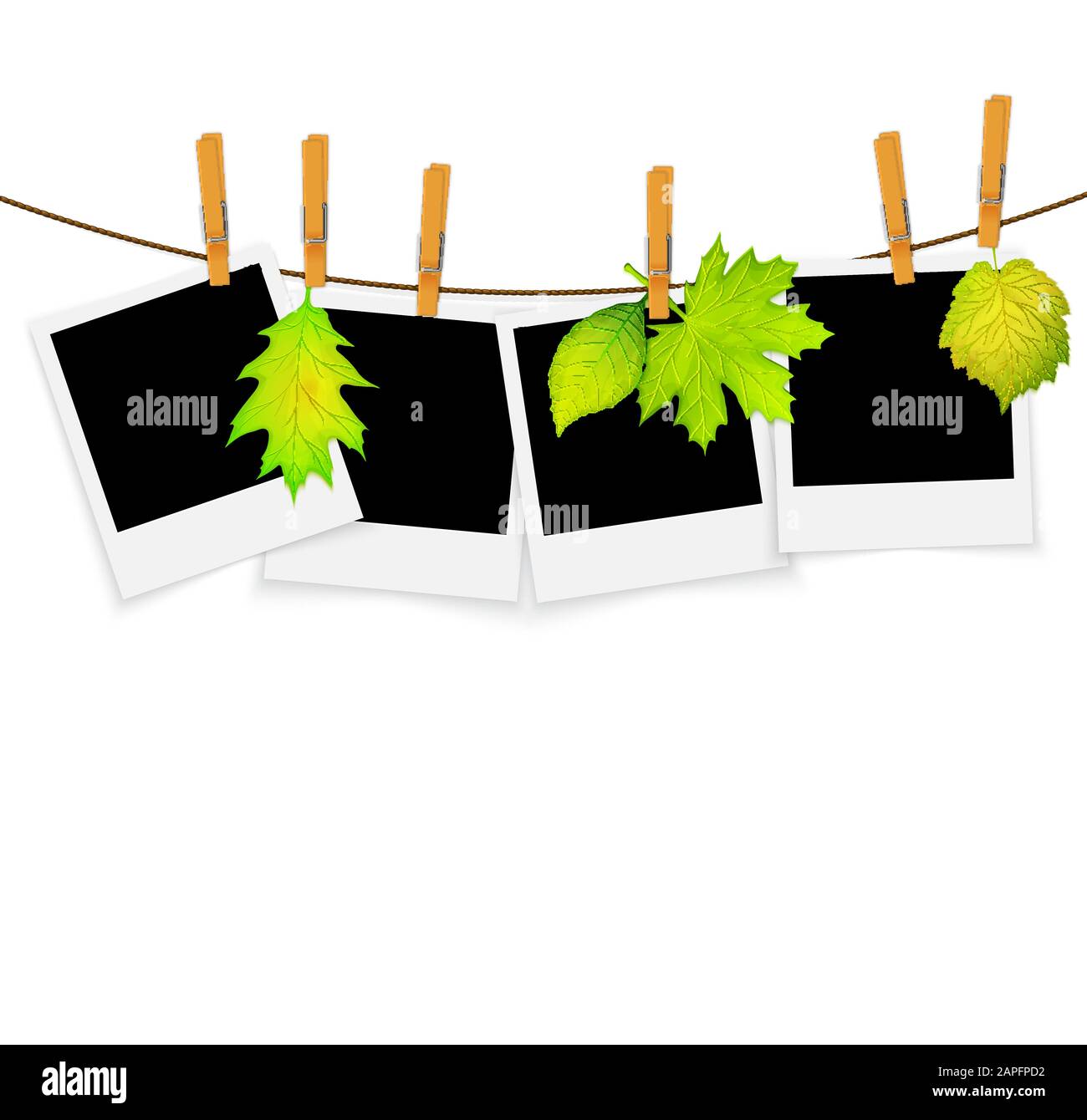 Cadres photo sur corde avec des clothespins et feuilles vertes fond vectoriel Illustration de Vecteur