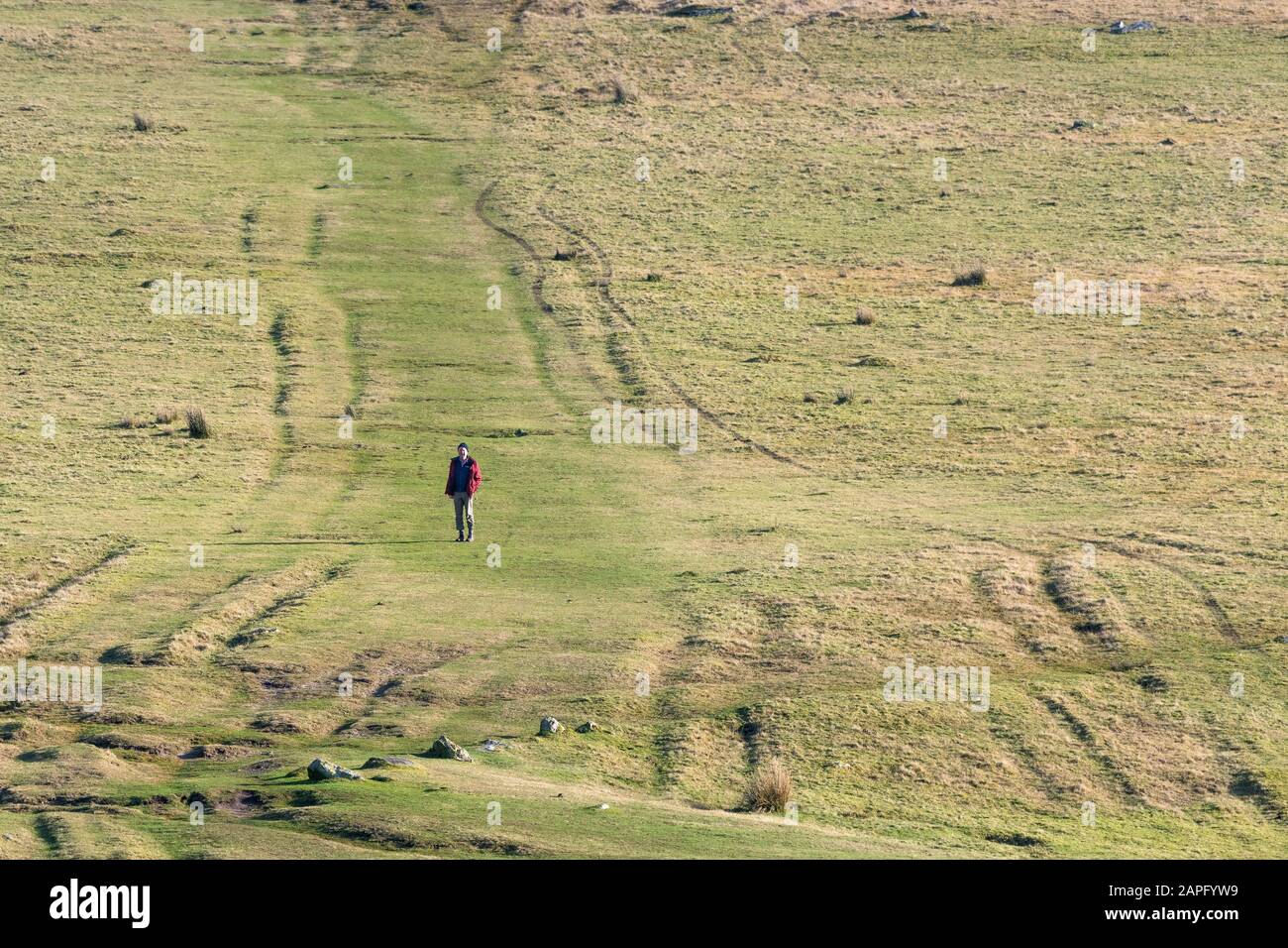 Un marcheur portant une veste rouge debout sur un chemin qui mène au sommet de la Rough Tor sur Bodmin Moor à Cornwall. Banque D'Images
