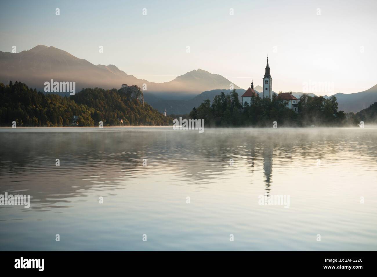 Ile Bled avec Église de l'Assomption à l'aube, Lac Bled, Upper Carniola, Slovénie Banque D'Images