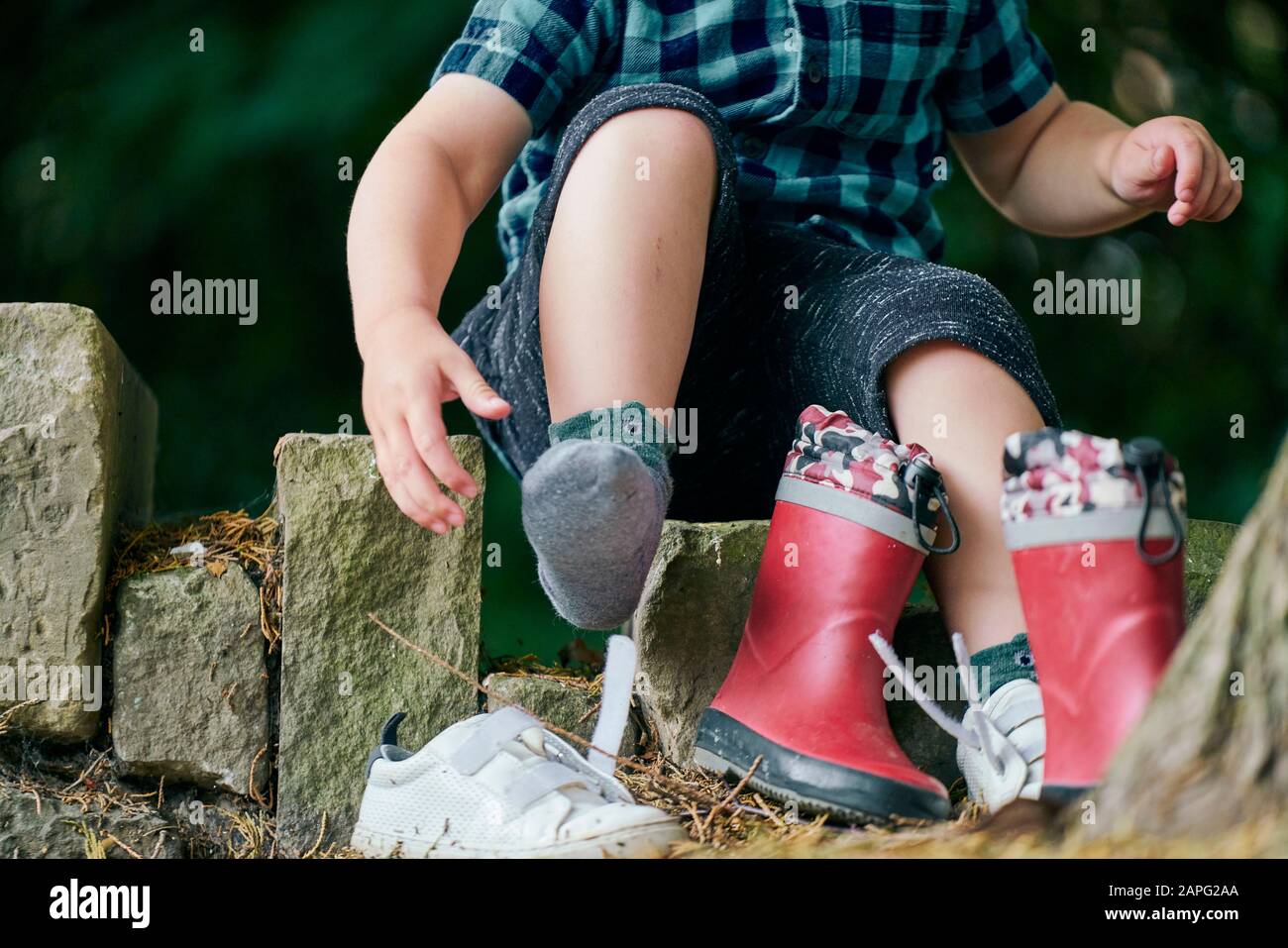 Chaussure pour enfant à côté de l'arbre Banque D'Images