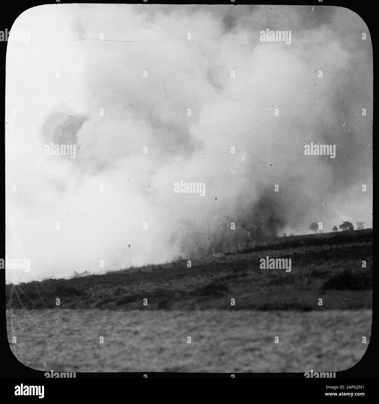 Foresterie, feux de forêt Date: Non daté mots clés: Foresterie, feux de forêt Nom de l'établissement: Planks Wambuis Banque D'Images