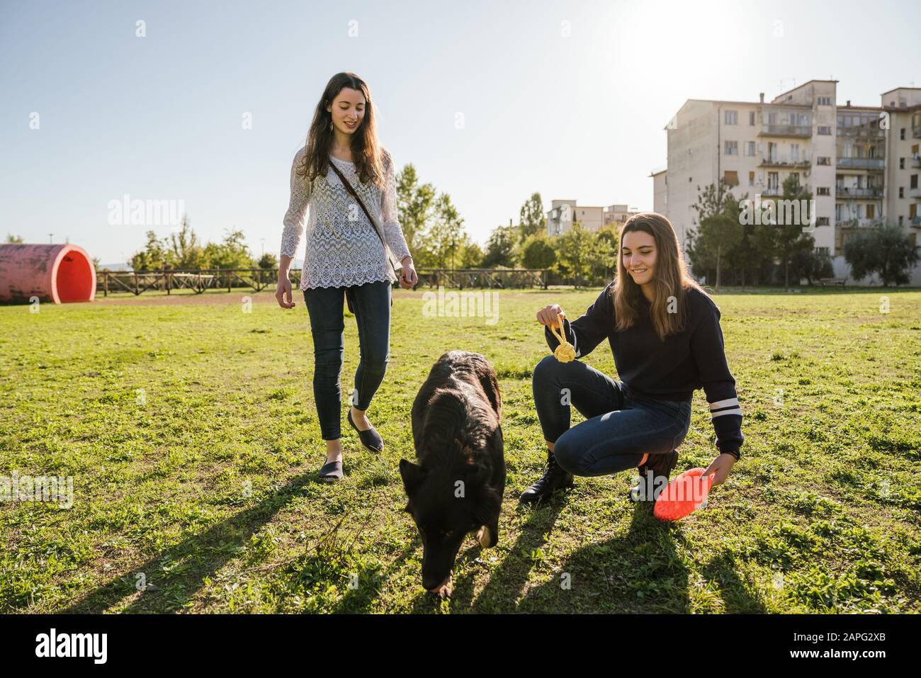 Sisters Playing with dog in park Banque D'Images
