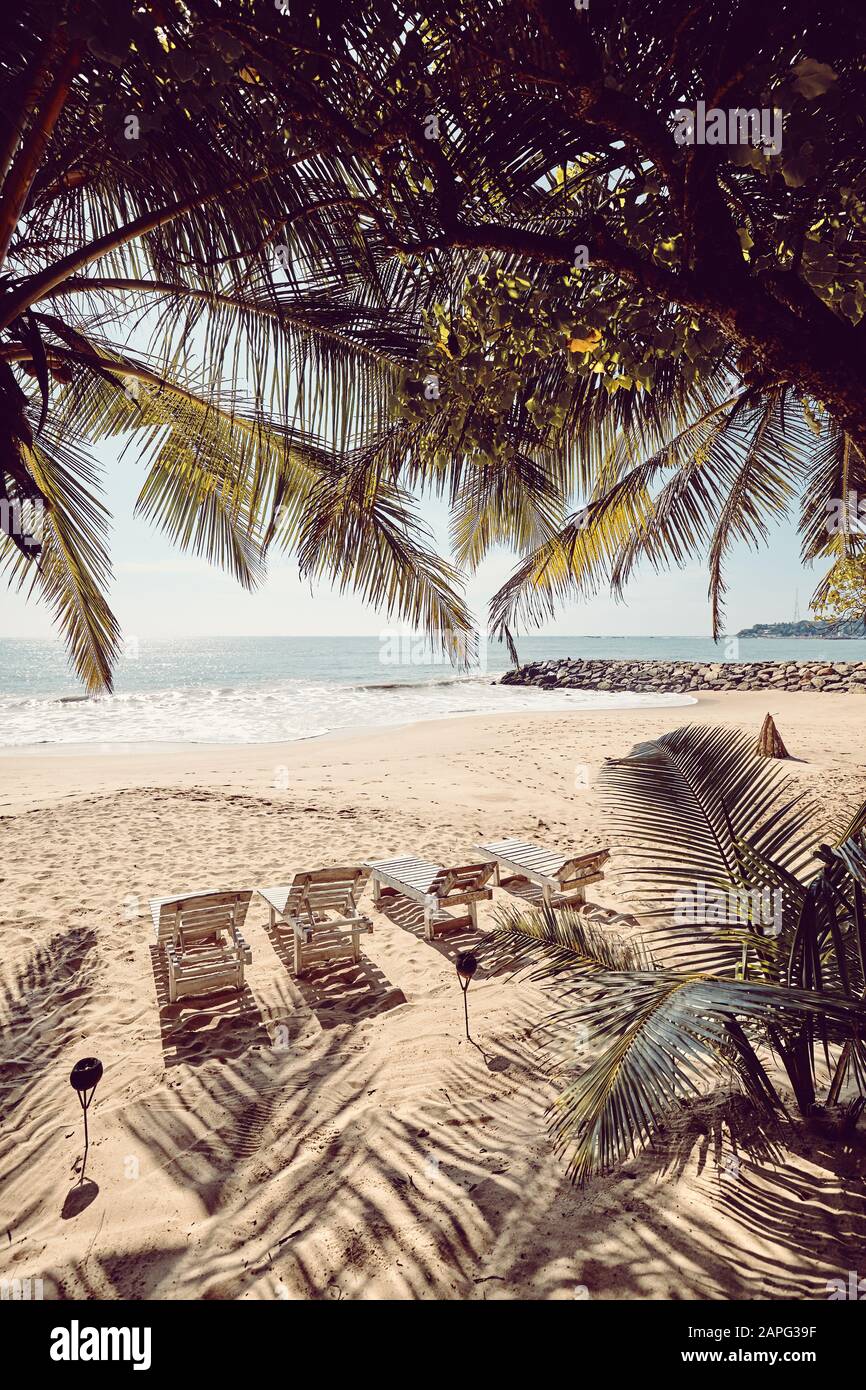 Chaises longues vides sur une plage tropicale, concept de vacances d'été, coloration appliquée. Banque D'Images