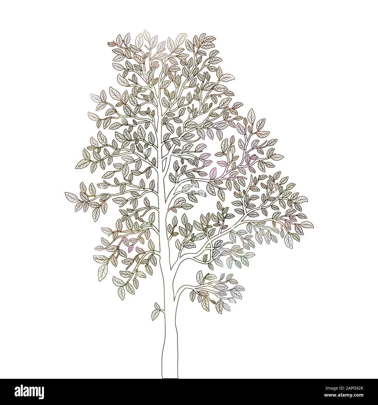 Arbre avec contours de feuilles sur un vecteur d'arrière-plan blanc Illustration de Vecteur