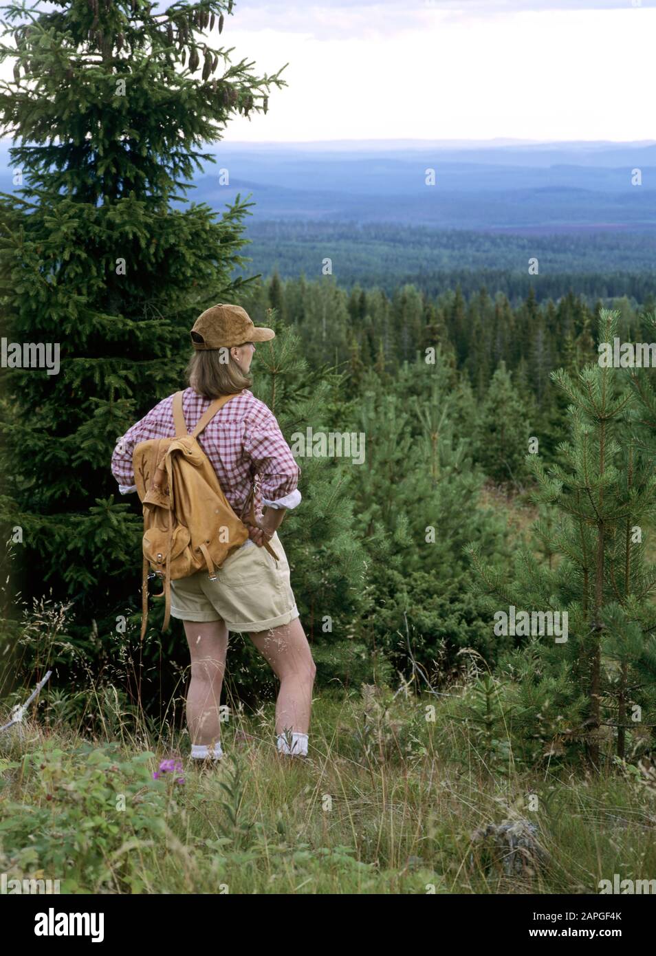 Les randonneurs regardent la forêt et les montagnes Banque D'Images