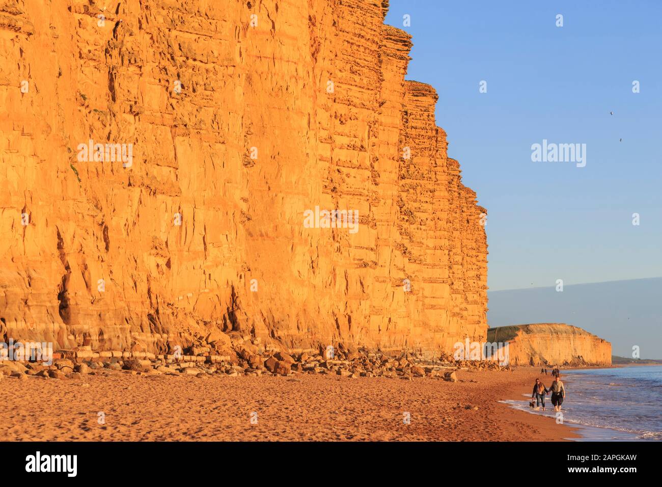 Plage de l'ouest de la baie de l'ouest de la falaise de grès jaune lumière du soir au sud de la côte jurassique du Dorset england uk go Banque D'Images