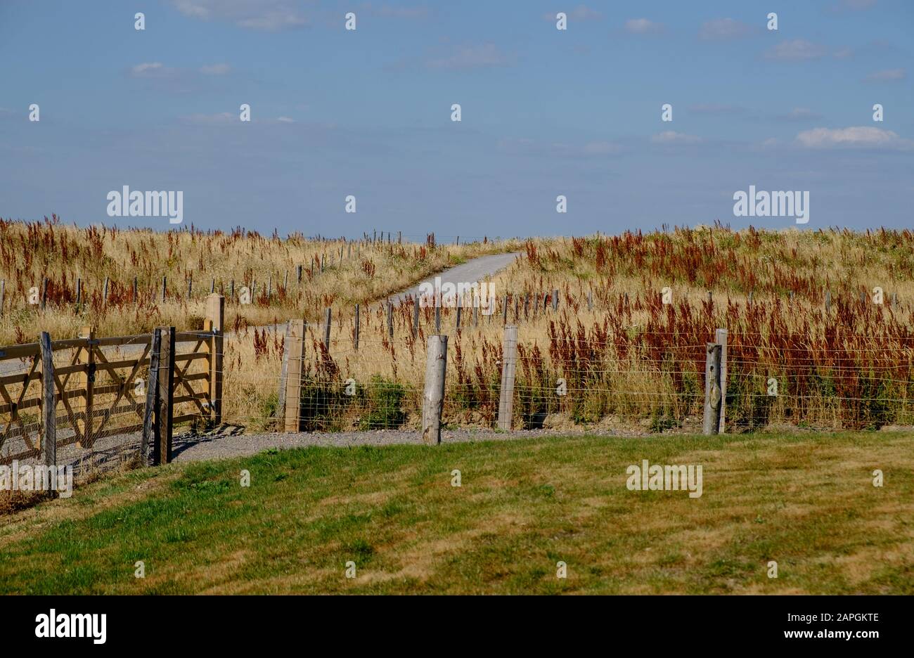 Portail et clôture boisés accidentés, sentier et champs de la Réserve naturelle de Medmerry, programme de protection contre les inondations de l'agence Environnement, Sidlesham, West Sussex, Royaume-Uni Banque D'Images