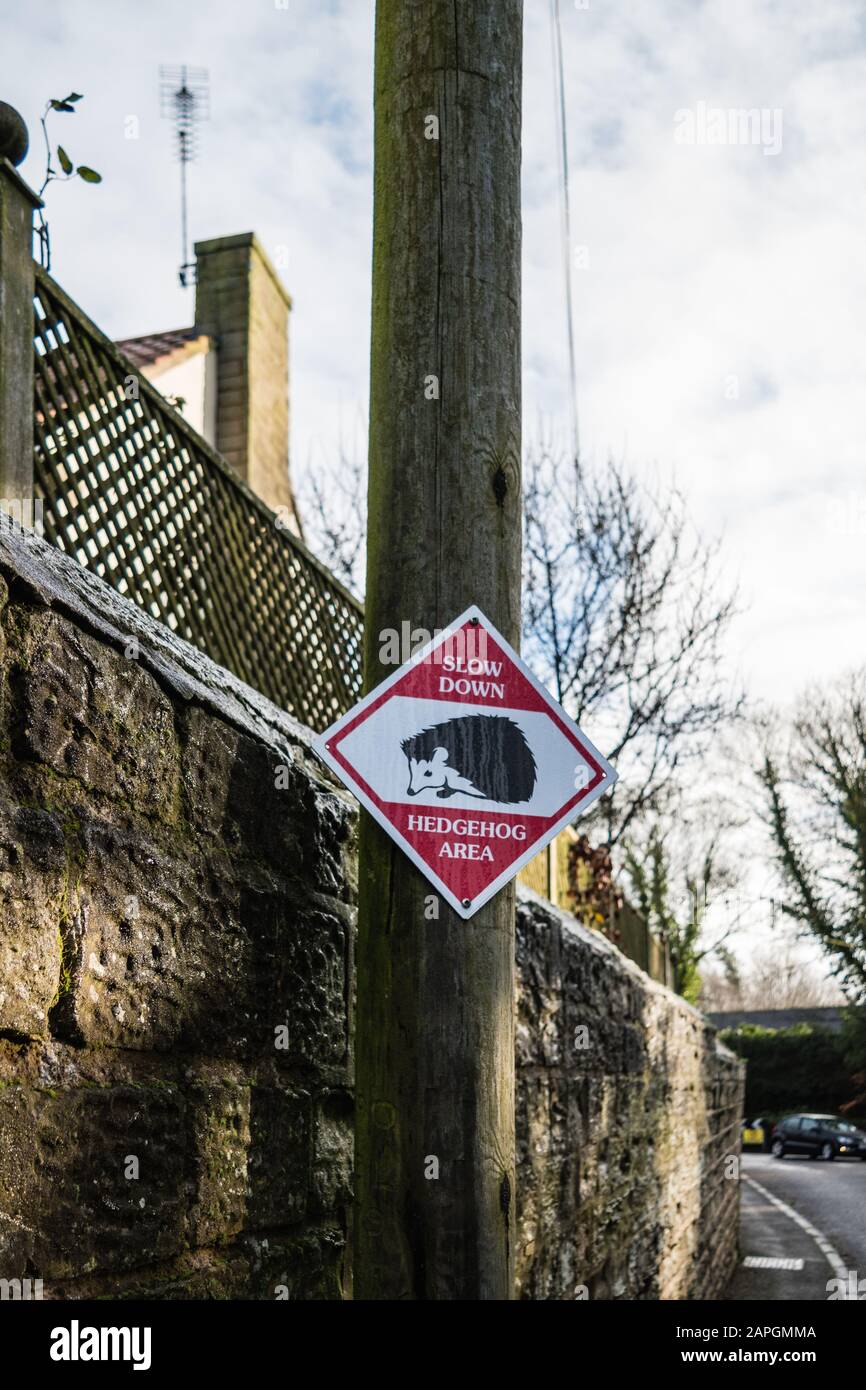 Signe d'avertissement de danger dans le village de Heath, Derbyshire aux automobilistes qu'ils sont dans une zone où Hedgehogs vivent. Banque D'Images