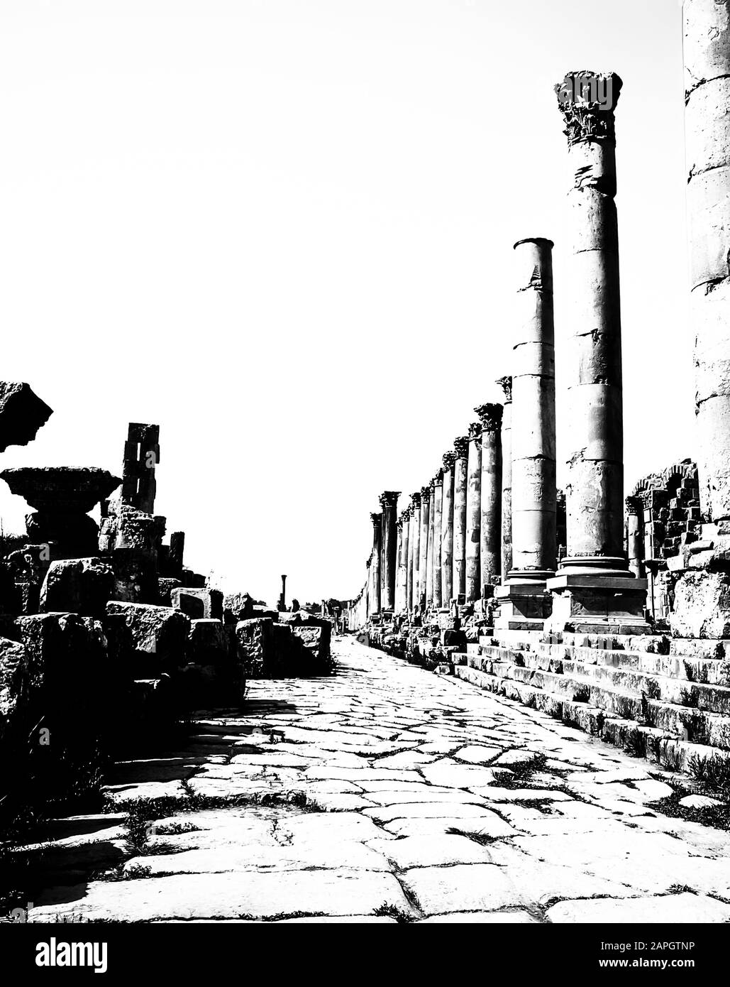 Jordanie. Colonades en noir et blanc sur la rue principale autrefois de l'ancienne ville romaine de Jerash non loin de la capitale de Jordanie d'Amman au Moyen-Orient Banque D'Images