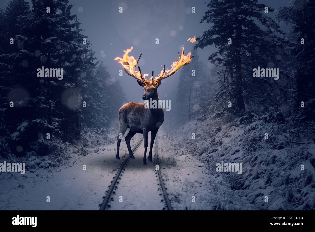 Un cerf avec des bois en feu se dresse dans la forêt d'hiver Banque D'Images