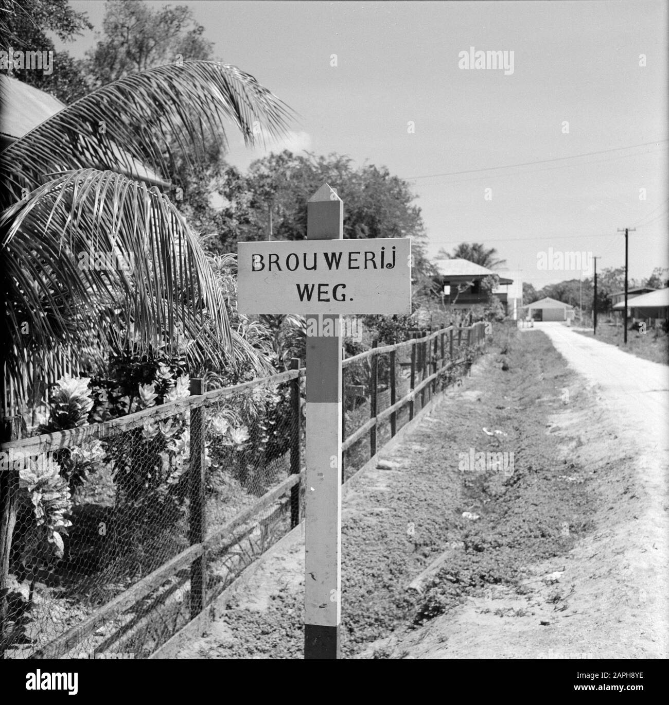 Antilles néerlandaises et Suriname au moment de la visite royale de la Reine Juliana et du Prince Bernhard en 1955 Description: La brasserie Road à Paramaribo Date: 1 octobre 1955 lieu: Paramaribo, Suriname mots clés: Plaques nominatives, images de rue Banque D'Images