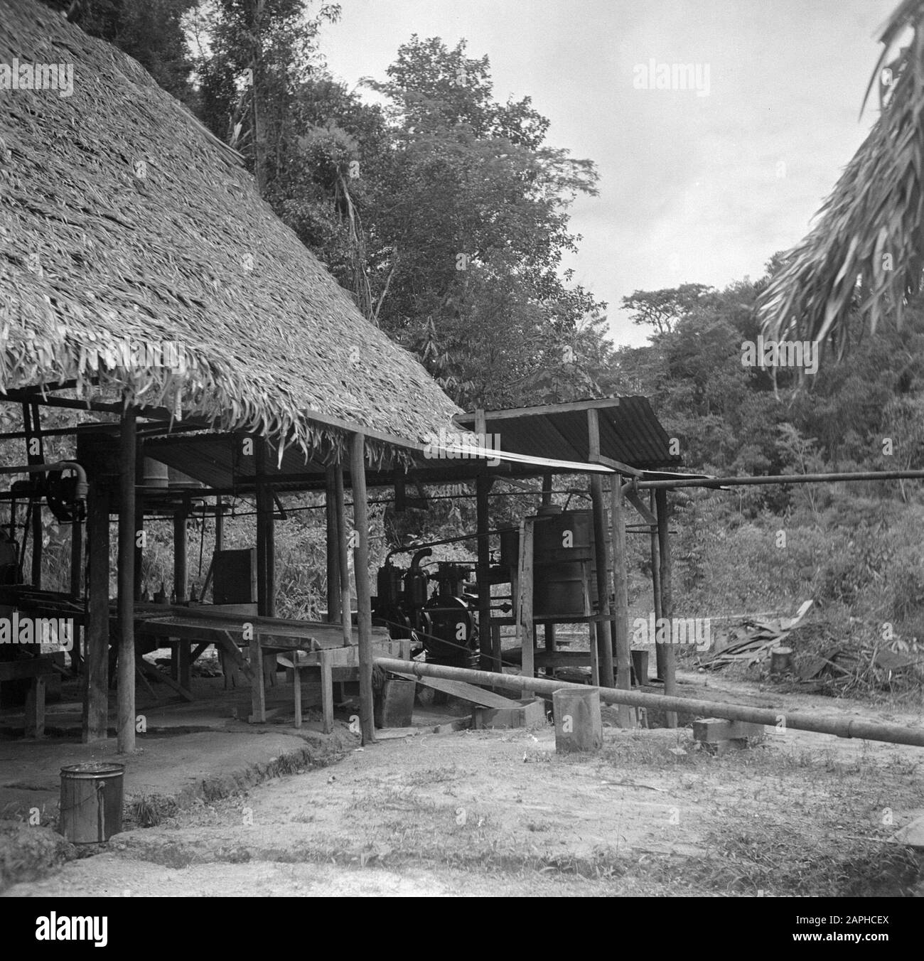 Voyage au Suriname et aux Antilles néerlandaises Description: La mine d'or de Jong Zuid Date: 1947 lieu: De Jong Zuid, Suriname mots clés: Les creuseurs d'or, les mines Banque D'Images