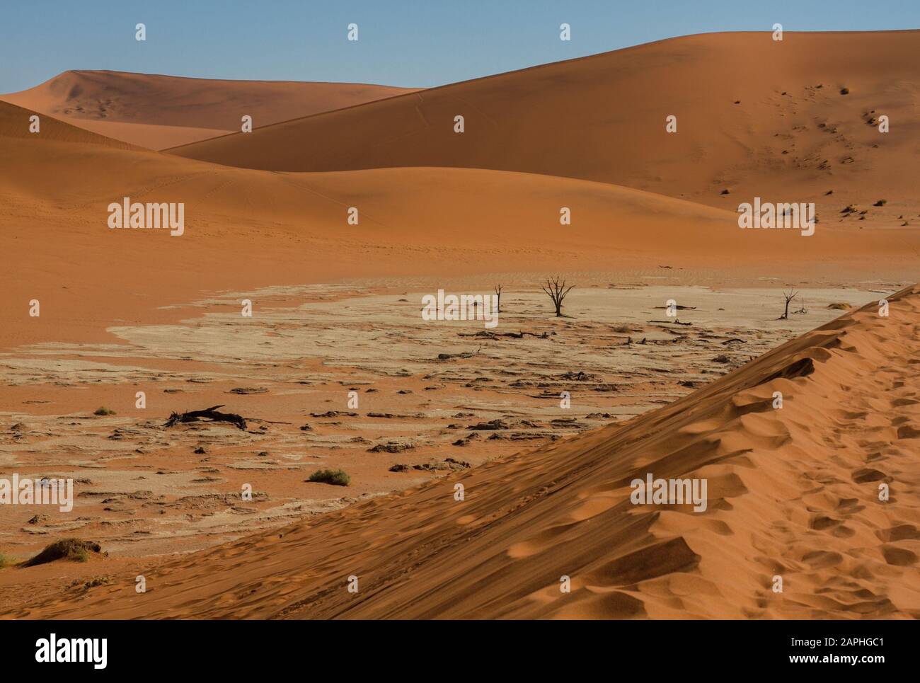 Paysage des dunes de sable rouge de Sossusvlei et des arbres morts de Deadvlei d'une dune avec des empreintes de pied dans le sable de Sossusvlei, Namibie Banque D'Images