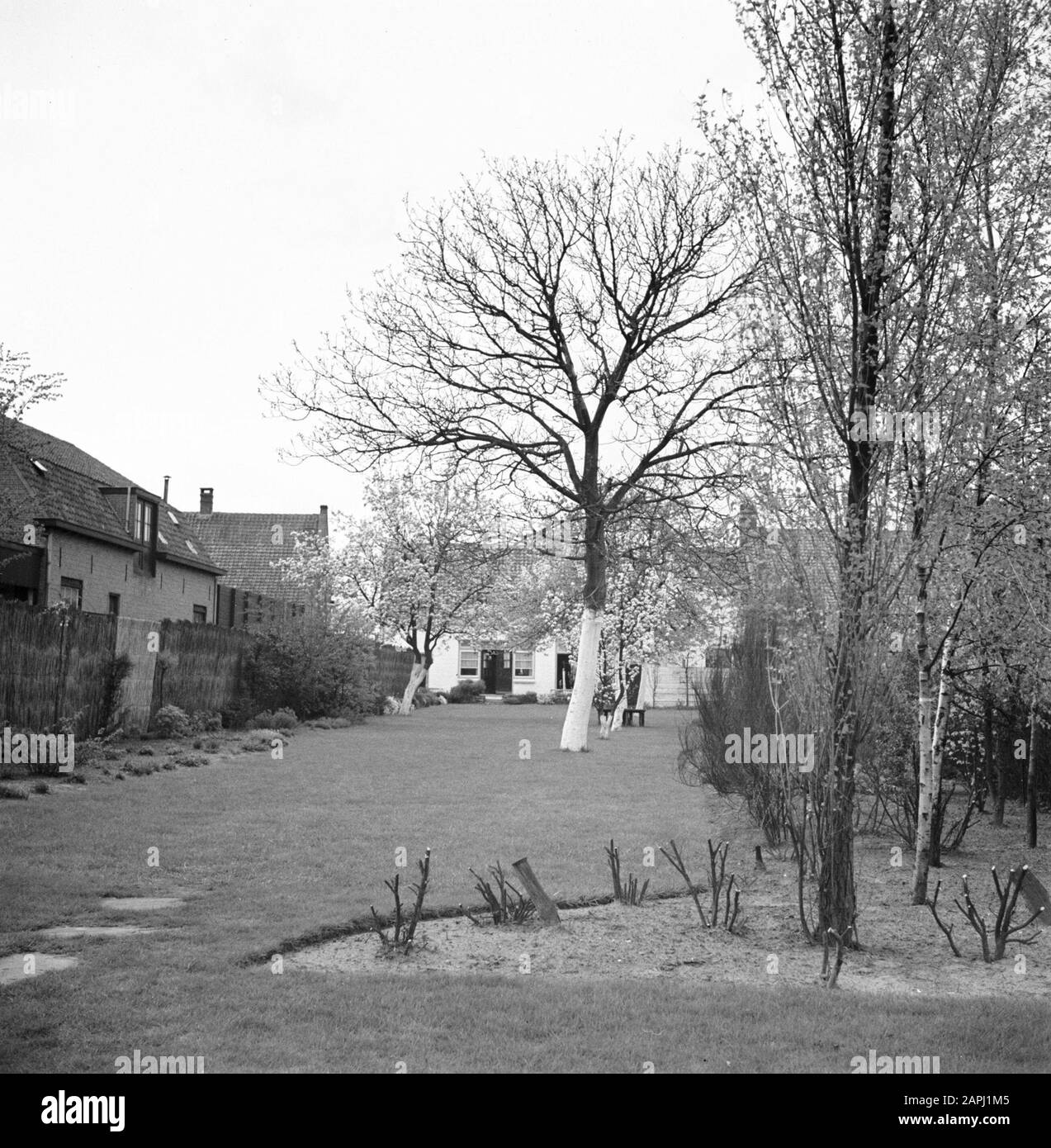 Photos de famille Description: Le jardin de M. Numann Date: 1932 mots clés: Jardins Nom personnel: Numann, [...] Banque D'Images