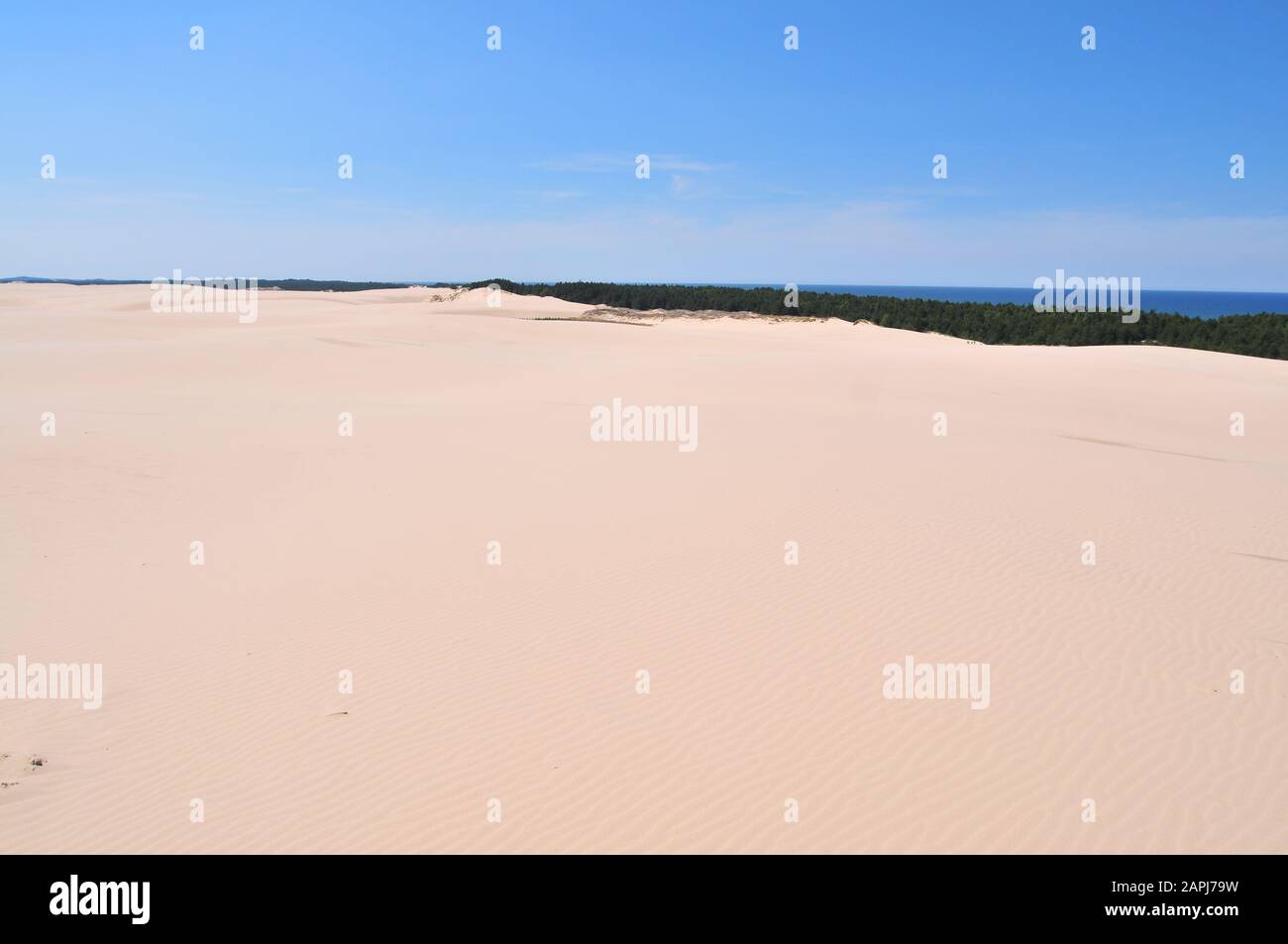 Parc National Slowinski (Polonais : Parc Słowiński Narodowy), Appelé Désert De Leba, Pologne Banque D'Images