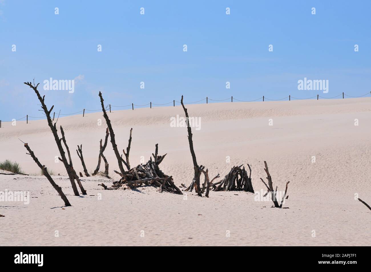 Parc National Slowinski (Polonais : Parc Słowiński Narodowy), Appelé Désert De Leba, Pologne Banque D'Images