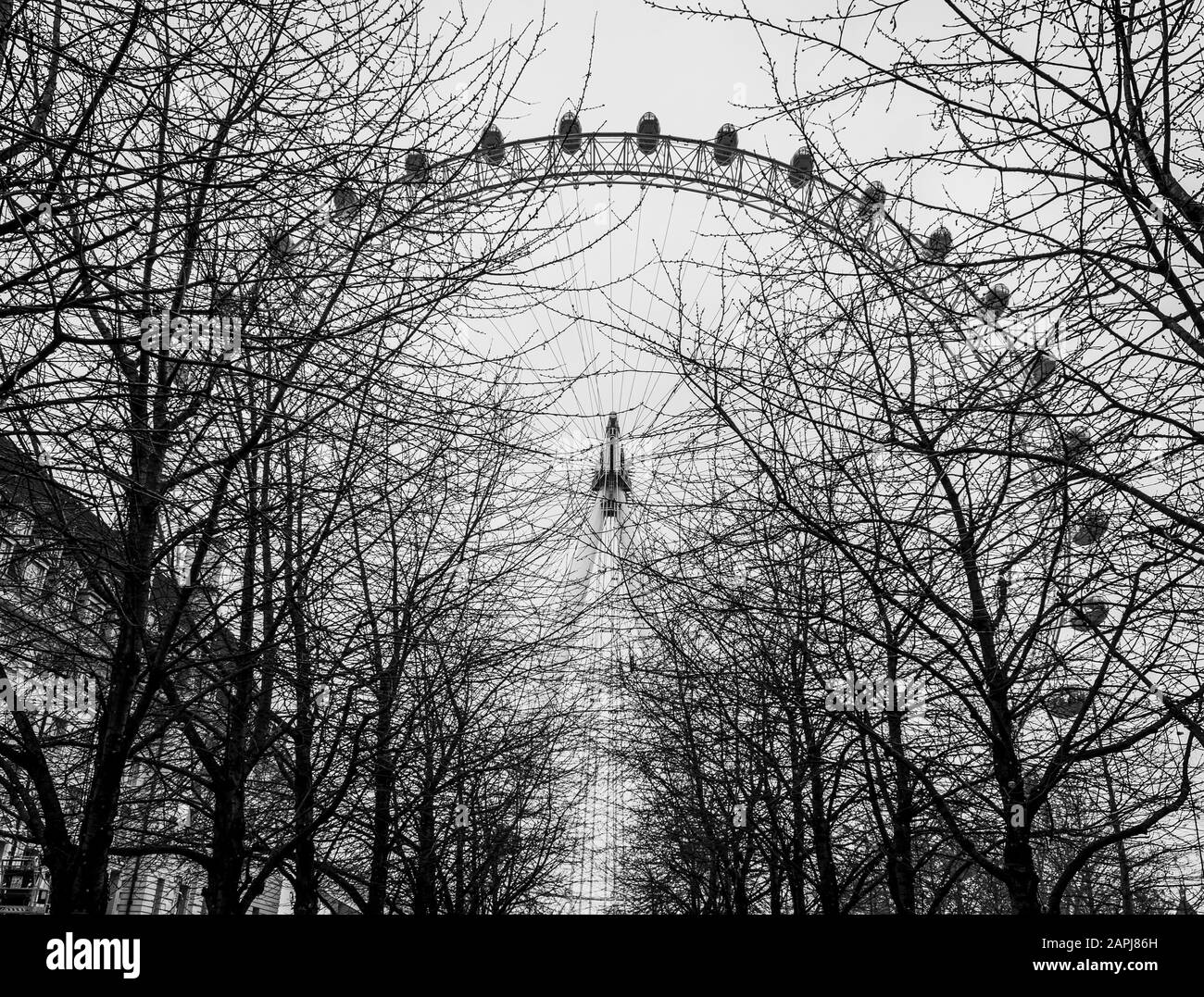 Londres, Royaume-Uni/Europe; 21/12/2019: The London Eye en noir et blanc Banque D'Images