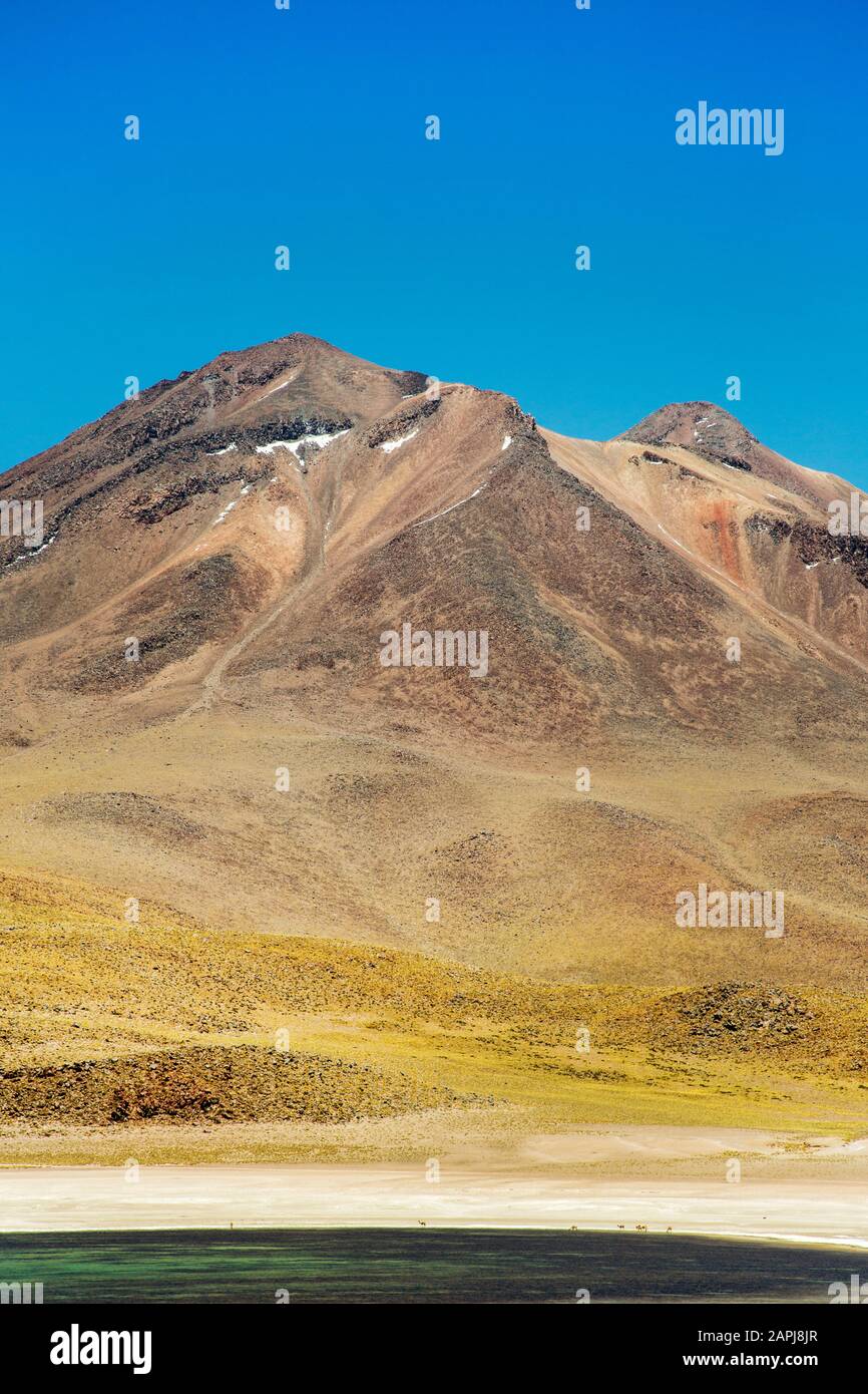 Volcan Miniques au-dessus de Laguna Miscanti à 14 000 pieds dans l'Altiplano chilien, Désert Atacama Banque D'Images