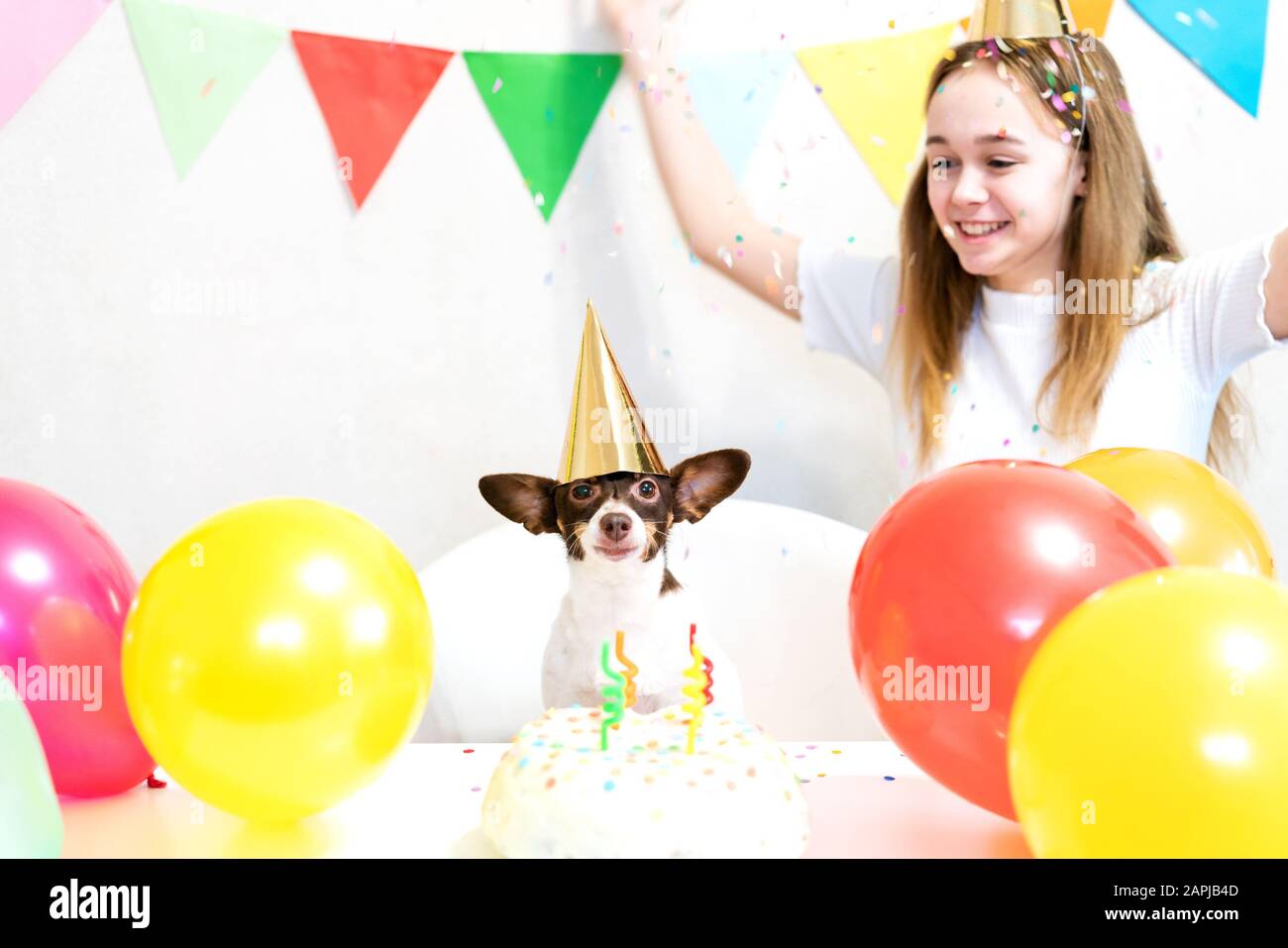 Joli Petit Chien Drole Avec Un Gateau D Anniversaire Et Un Chapeau De Fete Celebrant L Anniversaire Avec Une Maitresse De Fille Belle Jeune Femme Et Un Chien Dans Des Casquettes De Vacances Fete