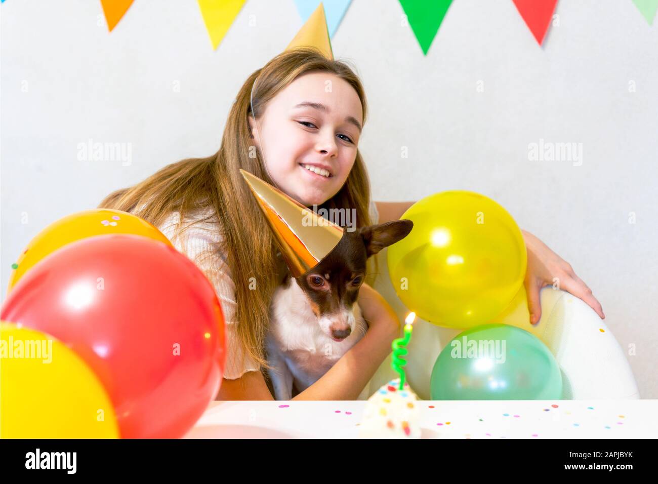 Joli petit chien drôle avec un gâteau d'anniversaire et un chapeau de fête célébrant l'anniversaire avec une maîtresse de fille. Belle jeune femme hople un chien dans des casquettes de vacances. Fête d'anniversaire de chien. Concept d'amitié. Banque D'Images