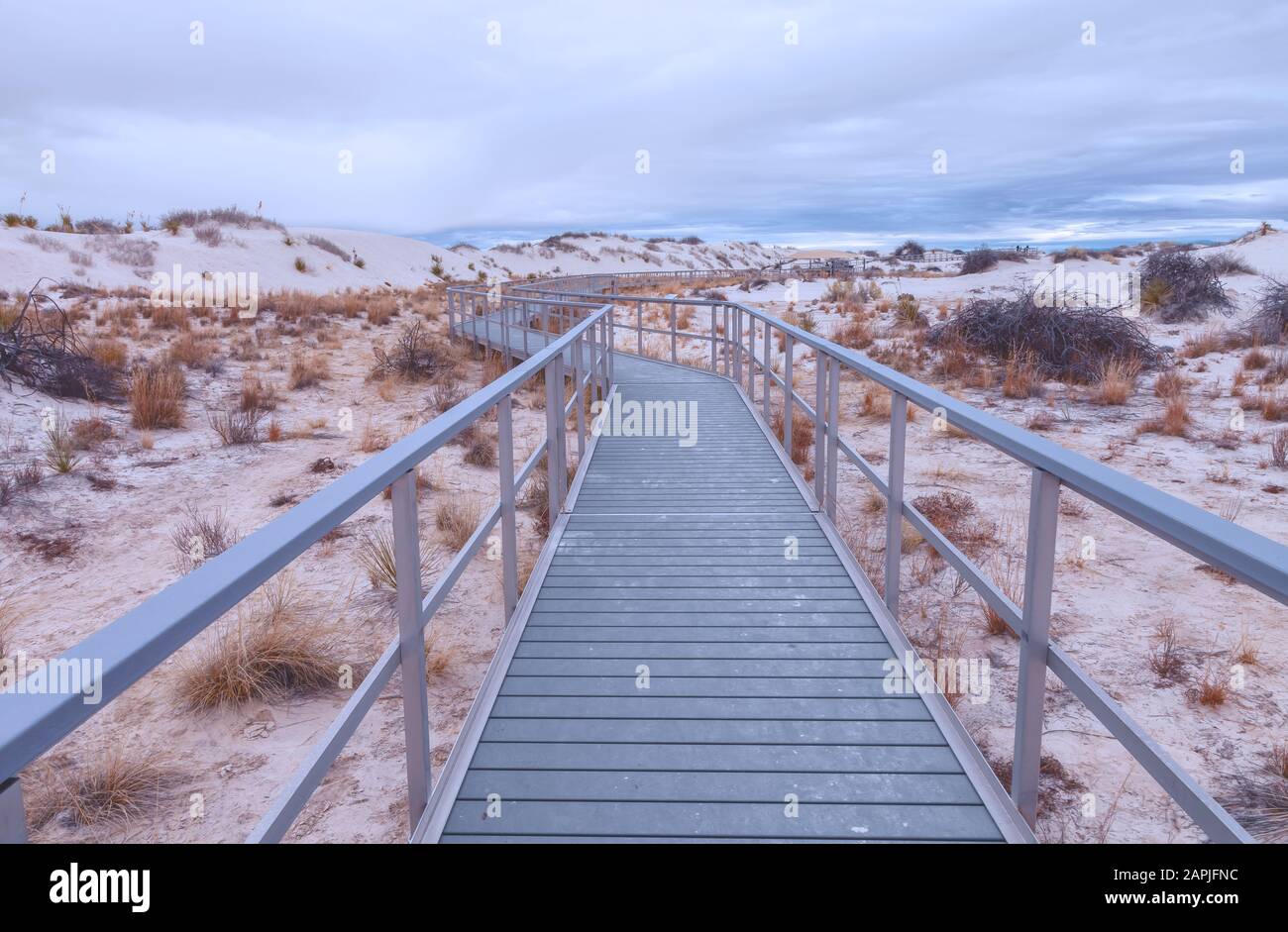Promenade Interdune Au Parc National White Sand, Nouveau-Mexique, États-Unis. Banque D'Images