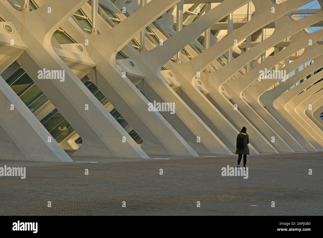 Valence et l'architecture de Santiago Calatrava Banque D'Images