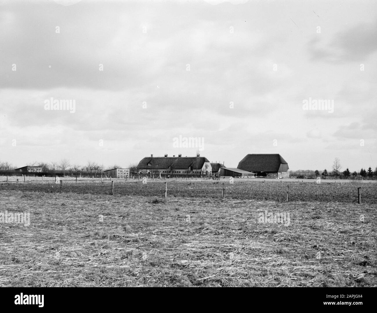Ferme de Olde Weije dans Vaassen Annotation: Ferme d'essai pour le travail du sol et la fertilisation. Construit en 1962 au nom de l'industrie néerlandaise de l'azote Date : 1962 lieu : Gueldre, Vaassen mots clés : fermes Banque D'Images
