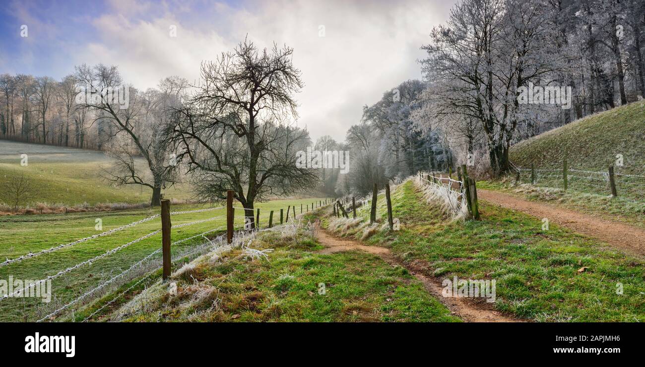 Sentiers de randonnée et clôtures menant à un beau paysage rural gelé en hiver, lumière douce moody, format panoramique Banque D'Images