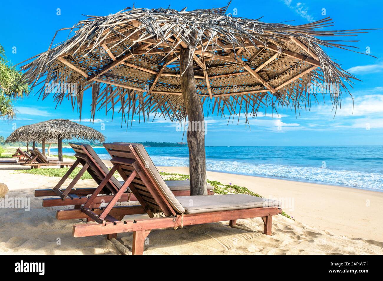 Magnifique plage tropicale au Sri Lanka. Océan et belle plage de sable avec des lits de plage et des parasols. Vue ensoleillée sur la plage idyllique et romantique de la mer. Concept Banque D'Images