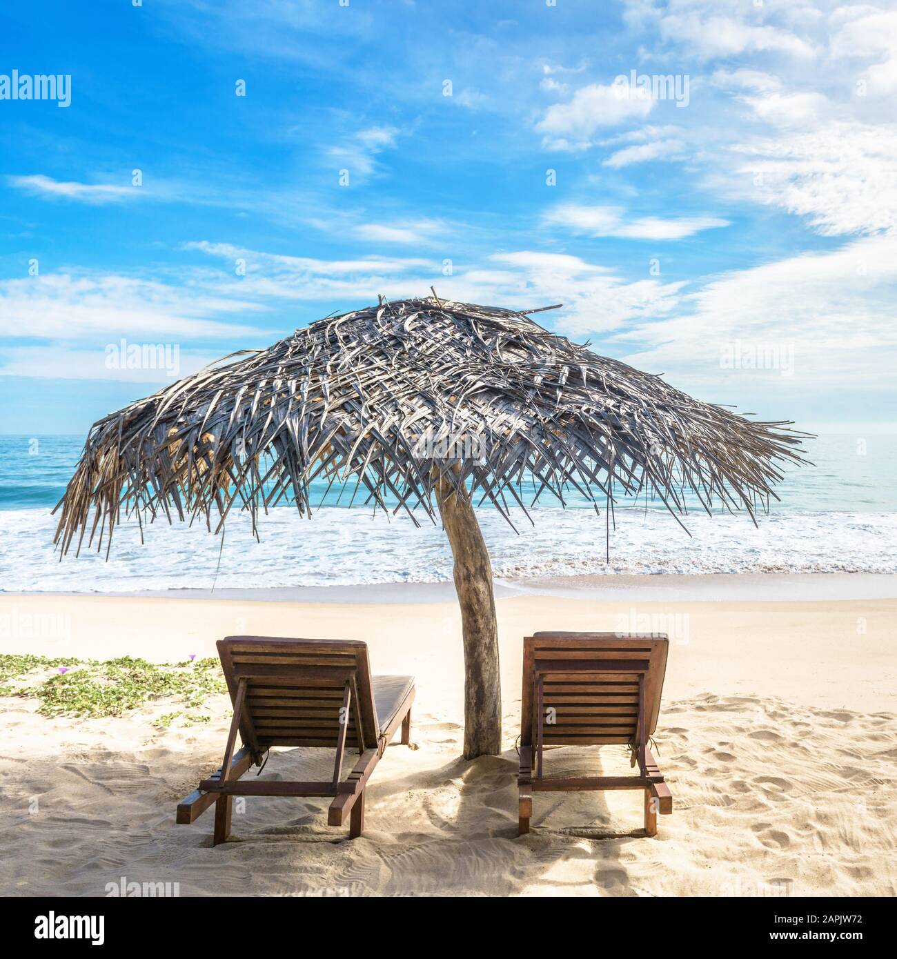 Lits de plage avec parasol sur la plage tropicale, Sri Lanka. Vue  ensoleillée sur la magnifique rive sablonneuse et l'océan. Plage idyllique  et romantique en été. Conceps Photo Stock - Alamy