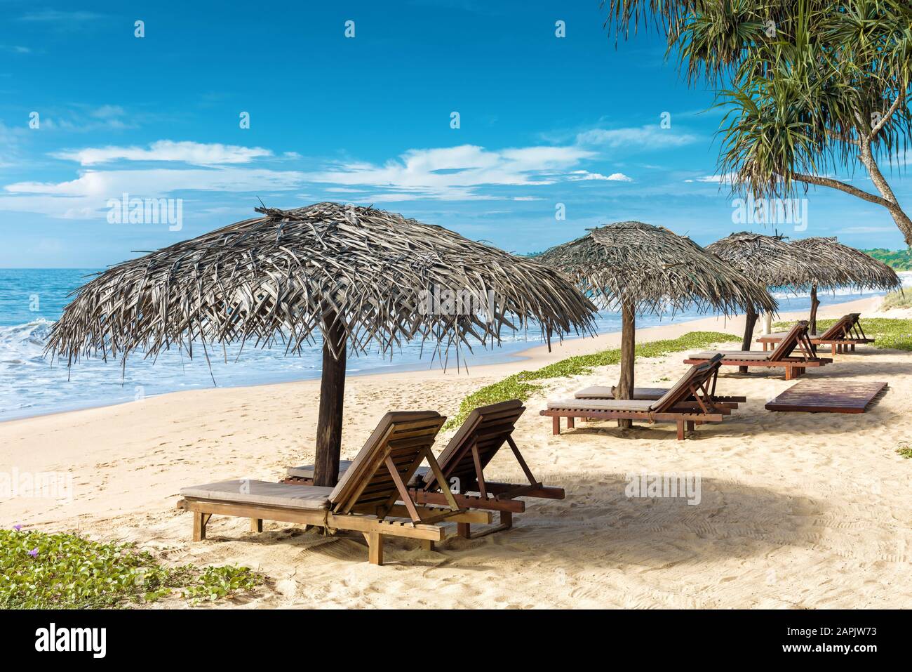 Lits de plage avec parasols sur la plage tropicale vide Banque D'Images