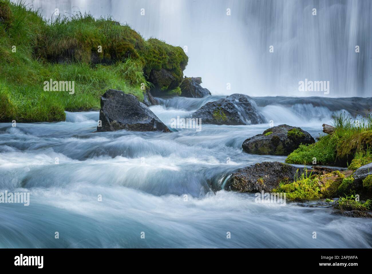 Fall Creek De Green Lakes Trail, Three Sisters Wilderness, Cascade Mountains, Centre De L'Oregon. Banque D'Images