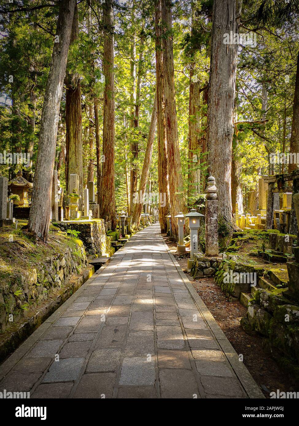 Deux kilomètres de long chemin dans le cimetière OkUnion de Koyasan ( Wakayama - Japon), flanqué de 300 000 pierres tombales Banque D'Images