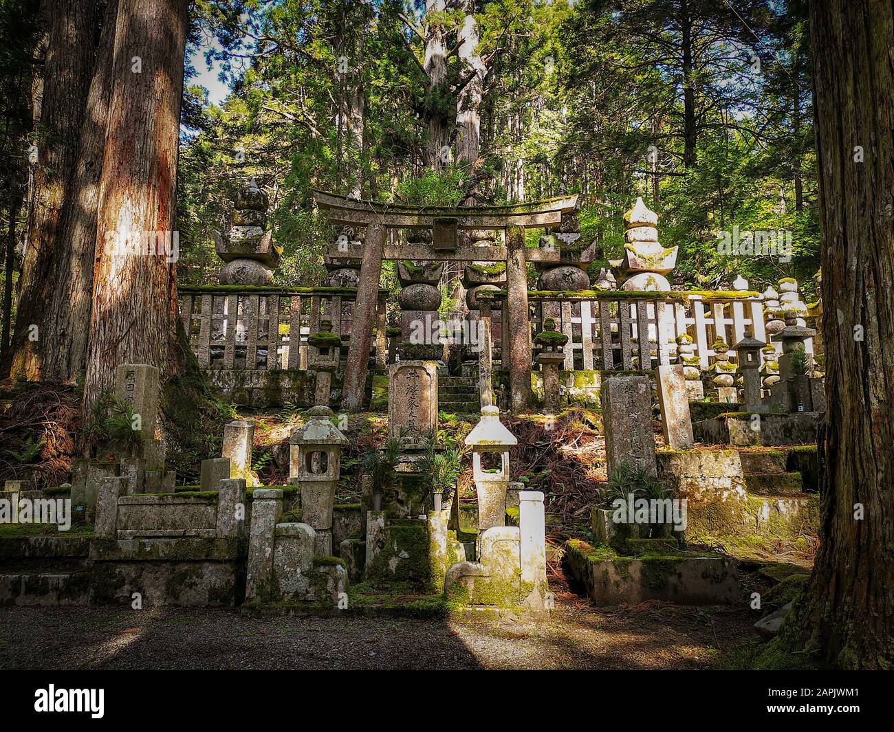 Tombes âgées dans le cimetière OkUnion sur la montagne Koyasan dans la préfecture de Wakayama au Japon, site classé au patrimoine mondial De L'Unesco Banque D'Images