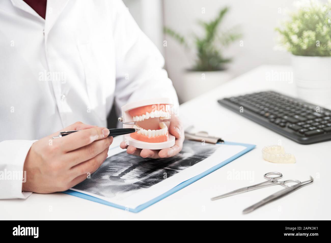 Doctor holding dents modèle, consultation médicale. Concept de soins dentaires Banque D'Images