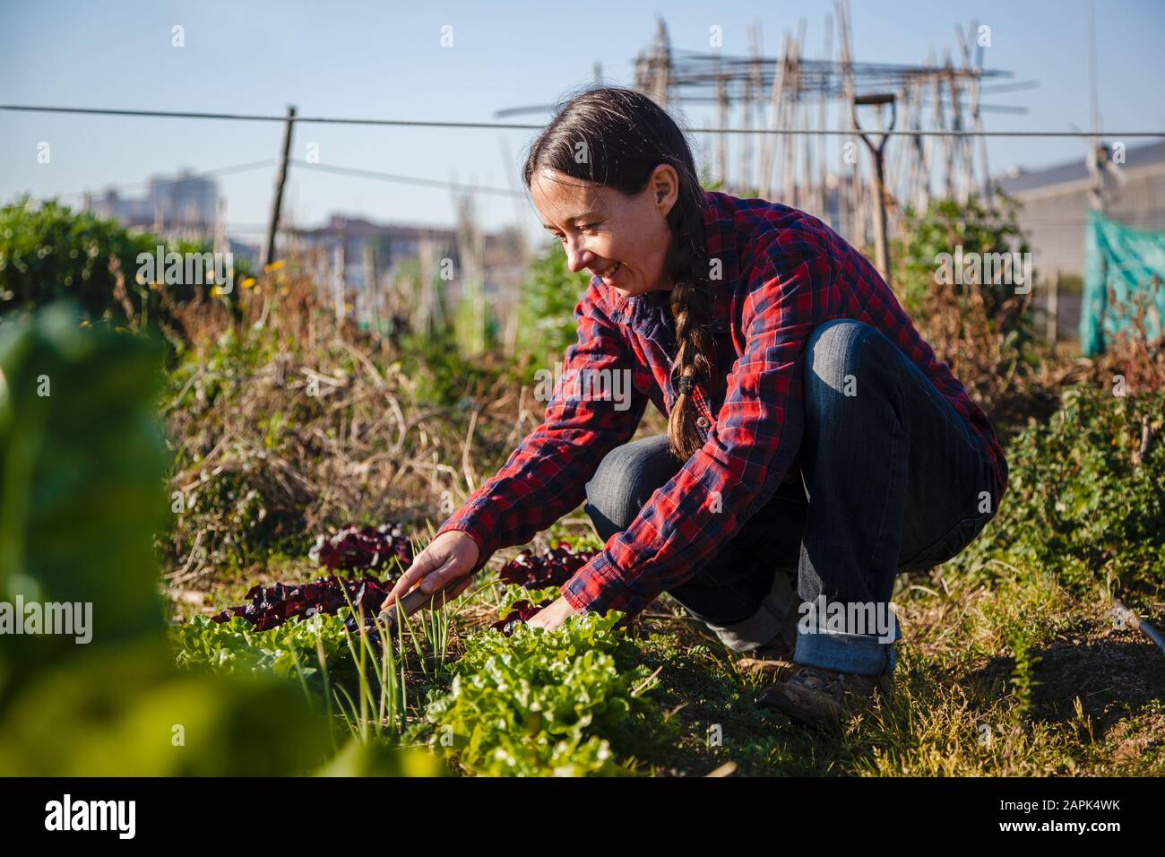 Jeune femme faisant du jardinage urbain le jour ensoleillé au printemps Banque D'Images