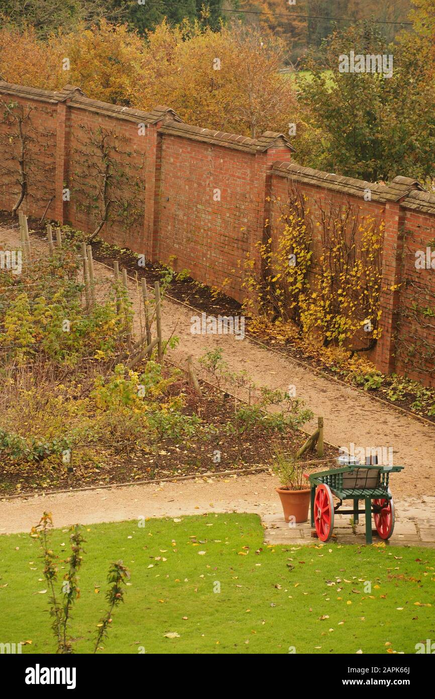 Une vue vers le bas à un coin d'un jardin de fruits avivés acheter un grand mur de jardin en brique avec un patch d'herbe et un chariot à roulettes en saison d'automne Banque D'Images