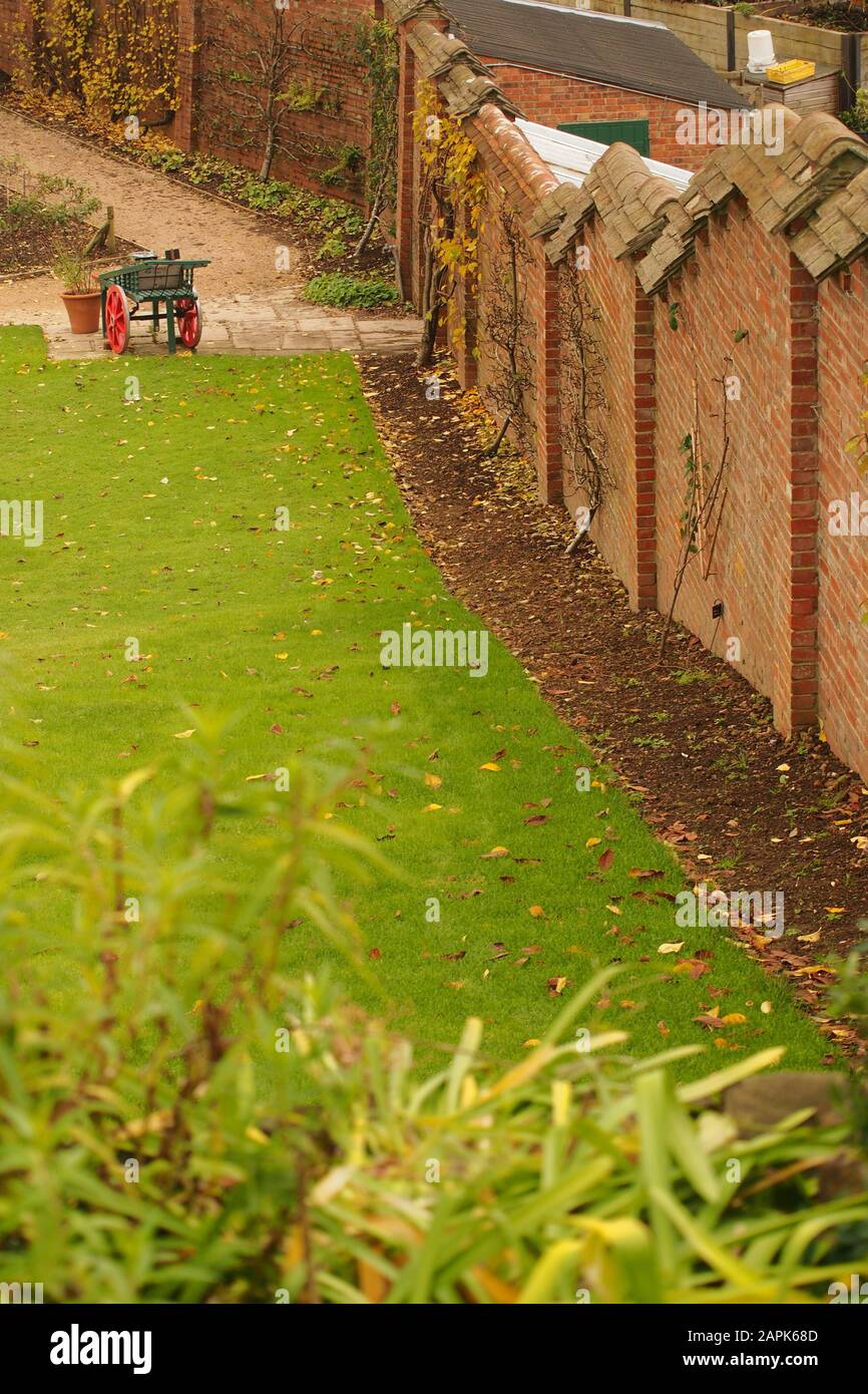 Vue sur un mur de jardin en briques escarpé avec un sommet en escalier et des plantes étant formées contre lui en automne Banque D'Images
