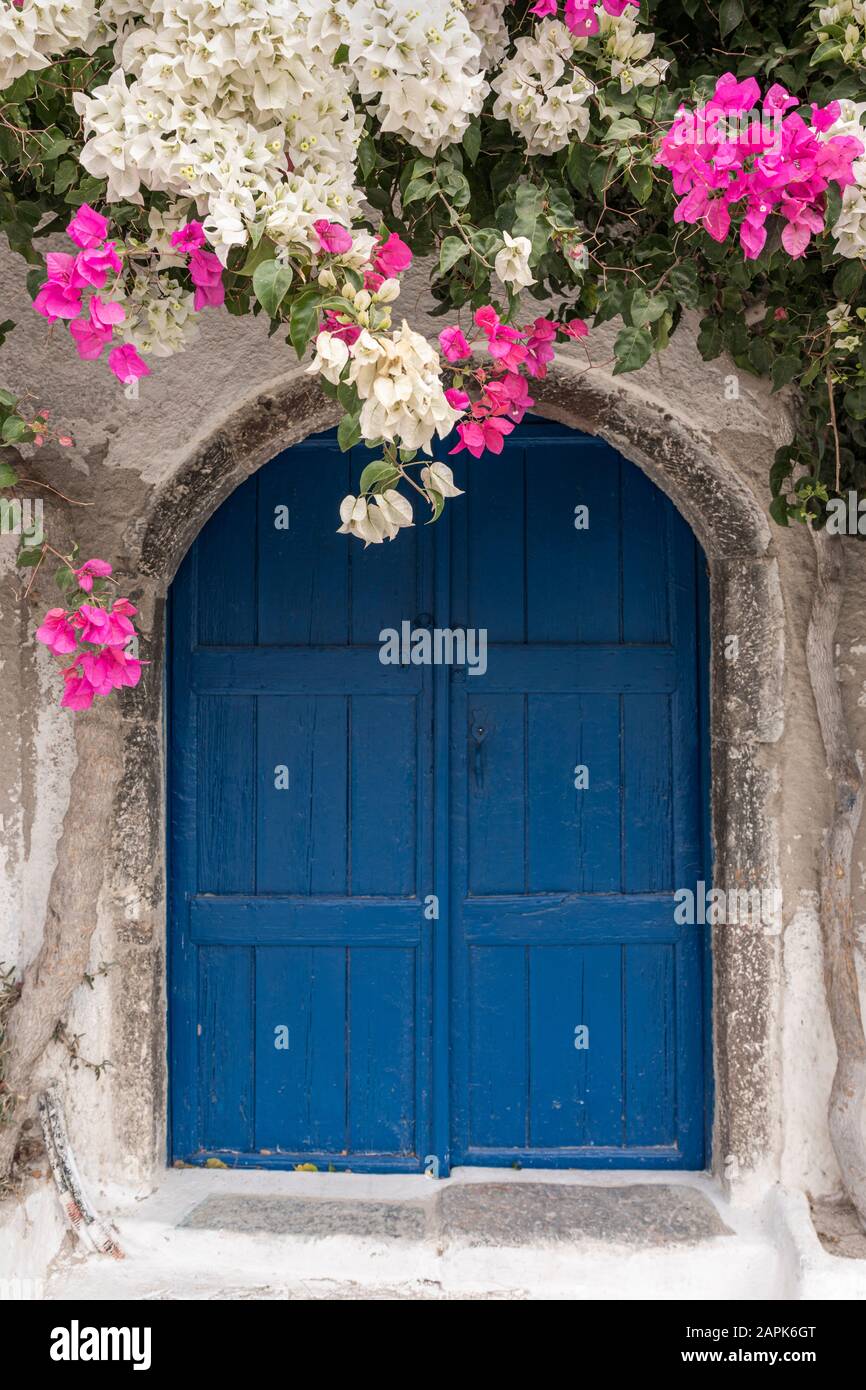 Bourganvilla au-dessus de la porte bleue voûtée à Santorin, Grèce Banque D'Images