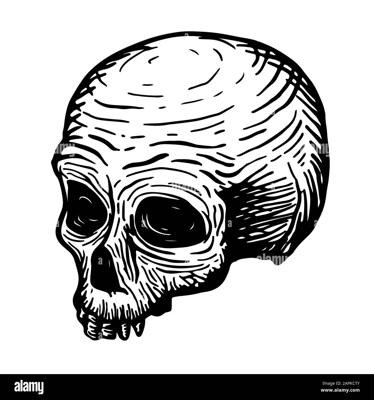 Dessin à la main d'un crâne d'un homme mort, noir sur fond blanc. Illustration vectorielle. Illustration de Vecteur