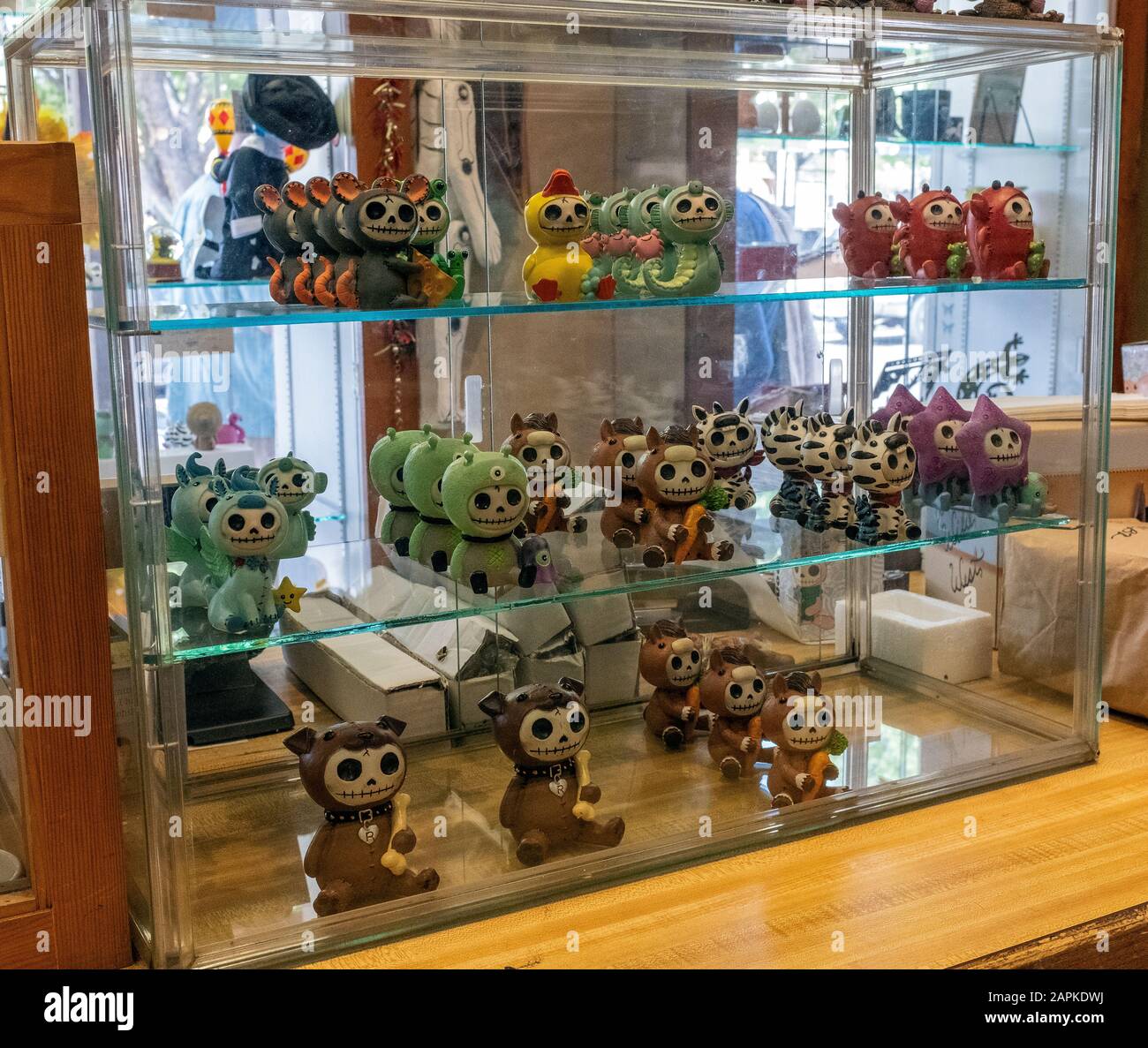Figurines de crâne 'Furryboness' exposées dans la vieille ville d'Albuquerque, au Nouveau-Mexique Banque D'Images